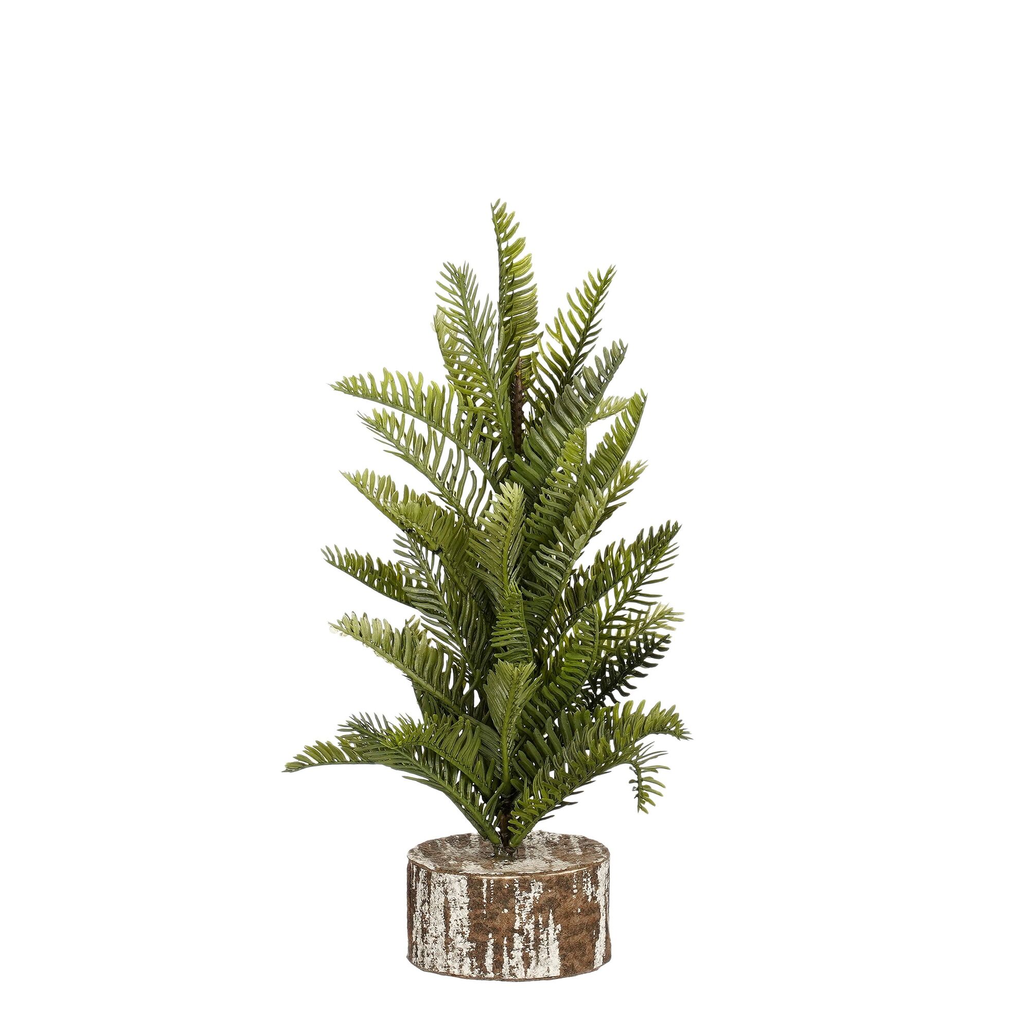 Dennenboom op voet groen
