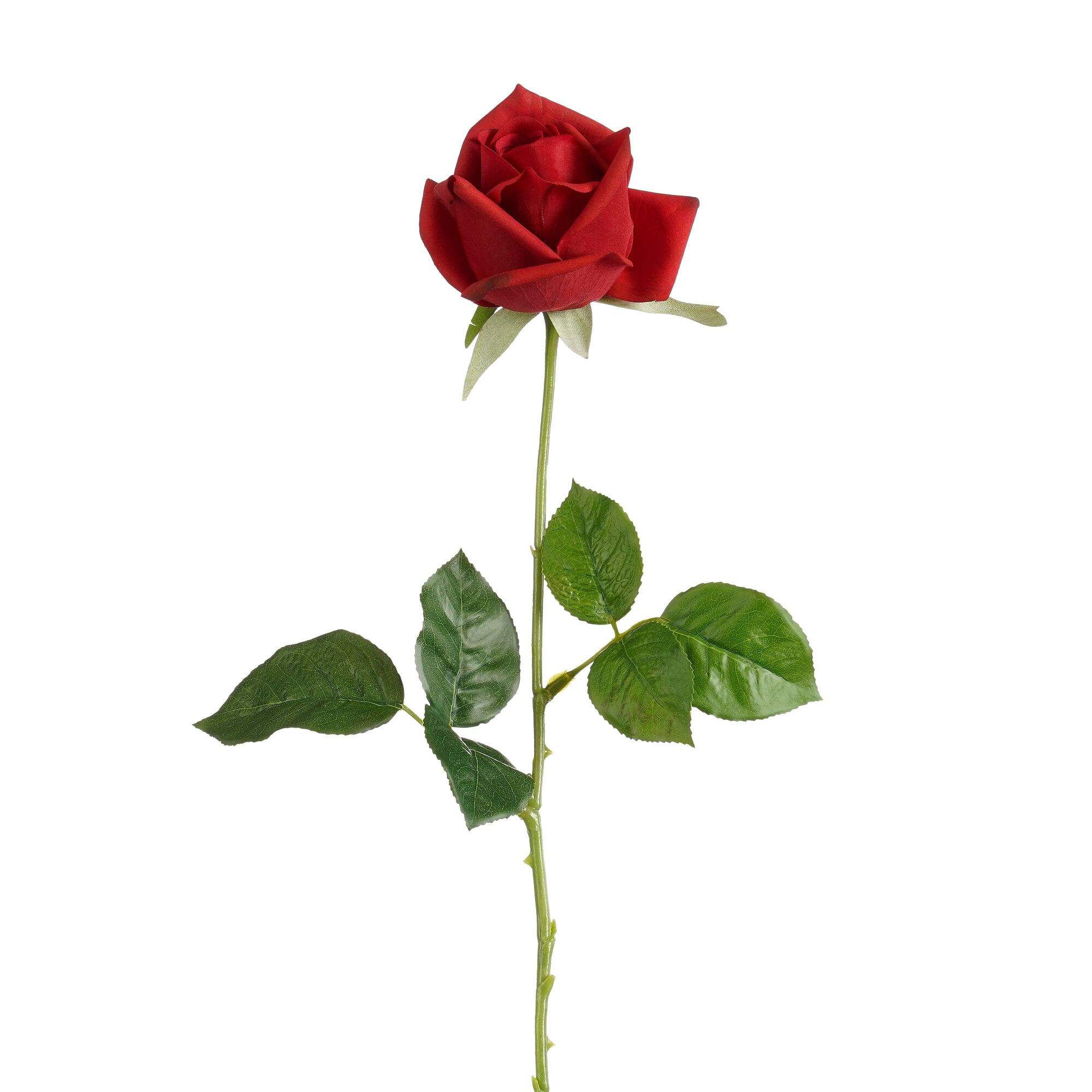 Roos rood Real Touch