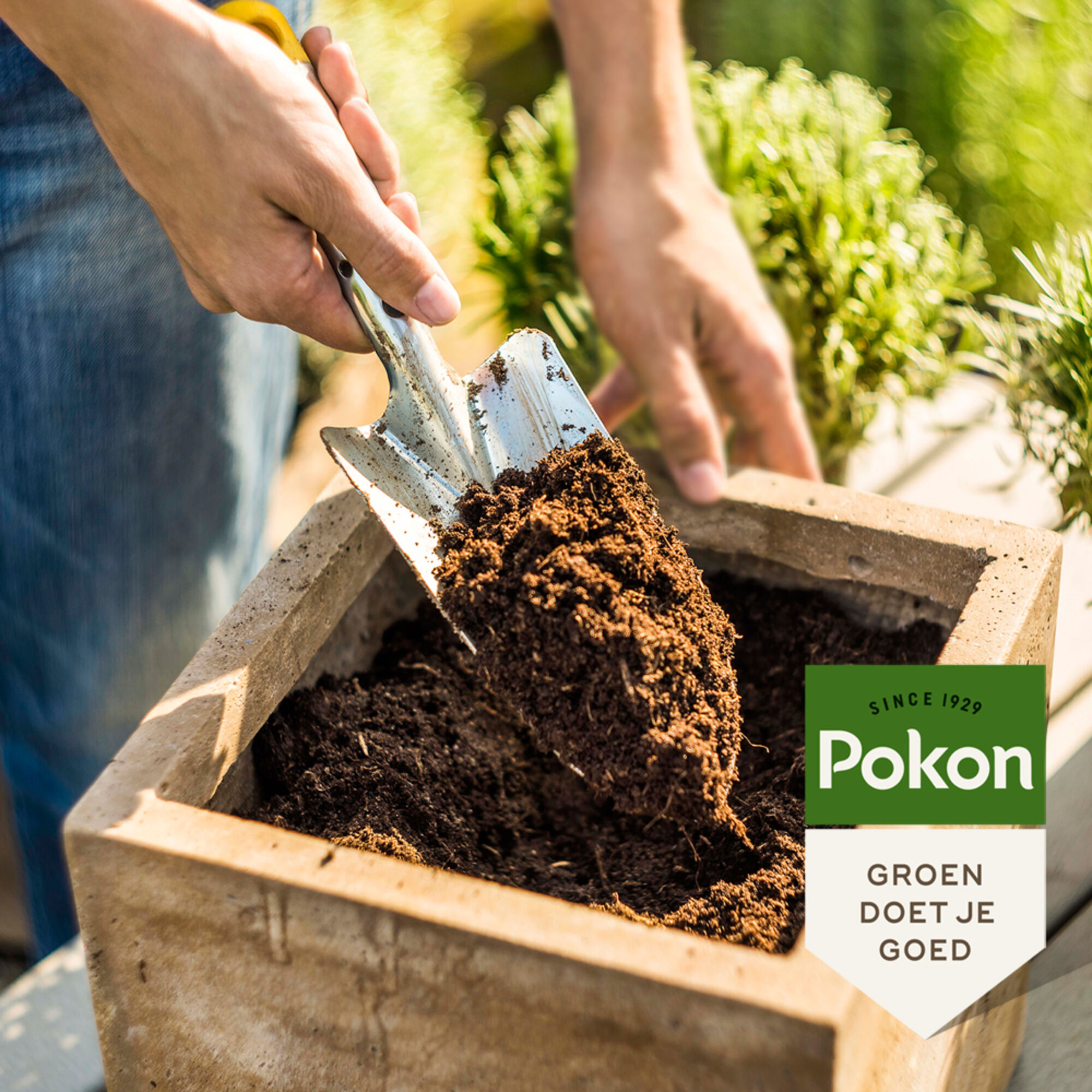 Pokon Kokos Compact