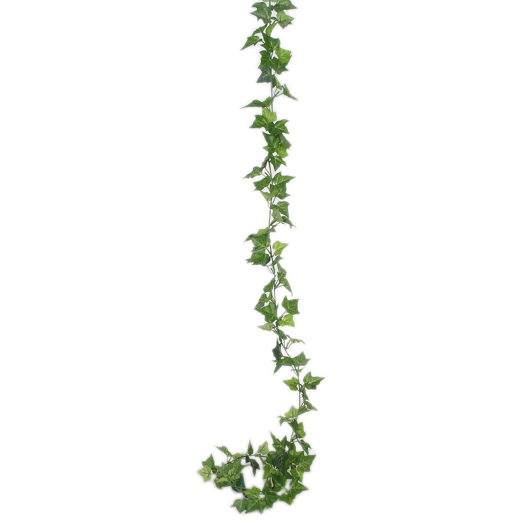 Slinger hedera groen