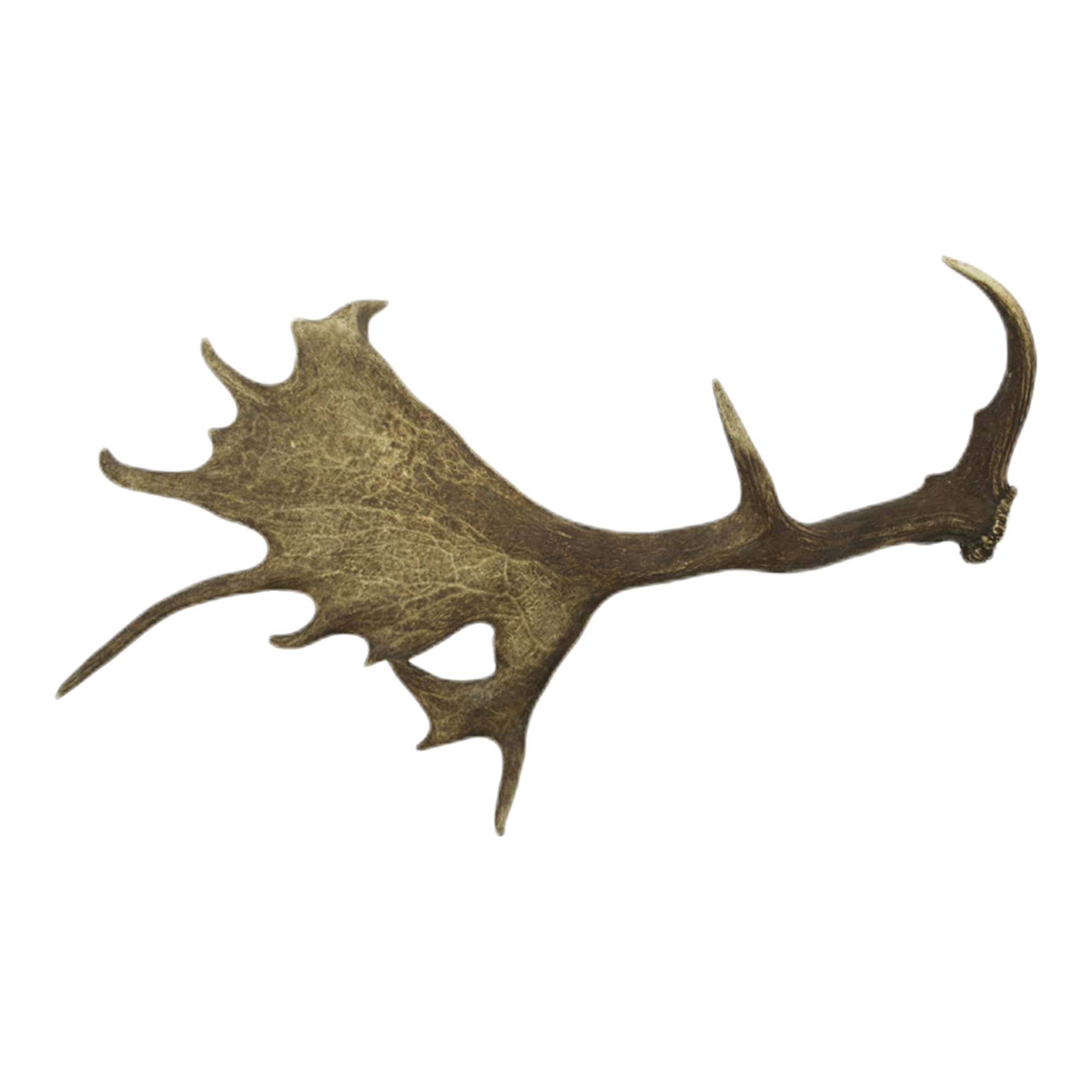 afworpstang damhert (A/1kg)