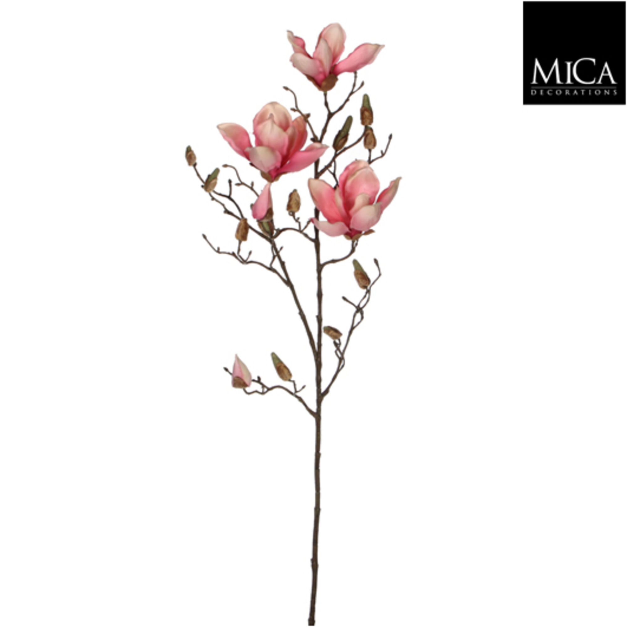 Magnolia roze