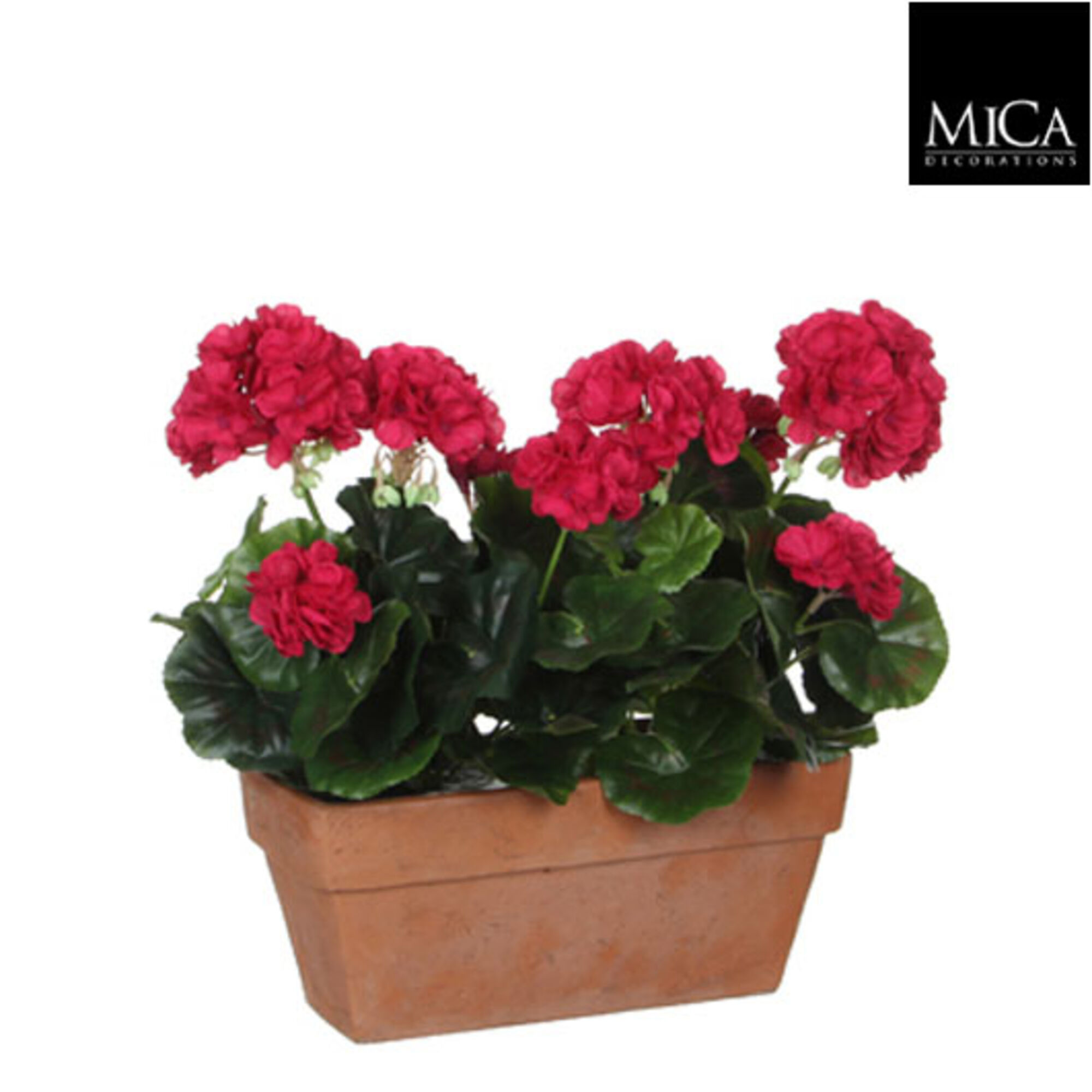 Geranium d.roze in balkonbak terra