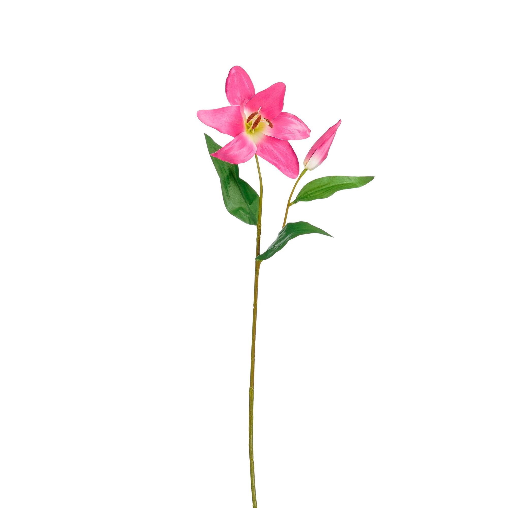 Lelie roze