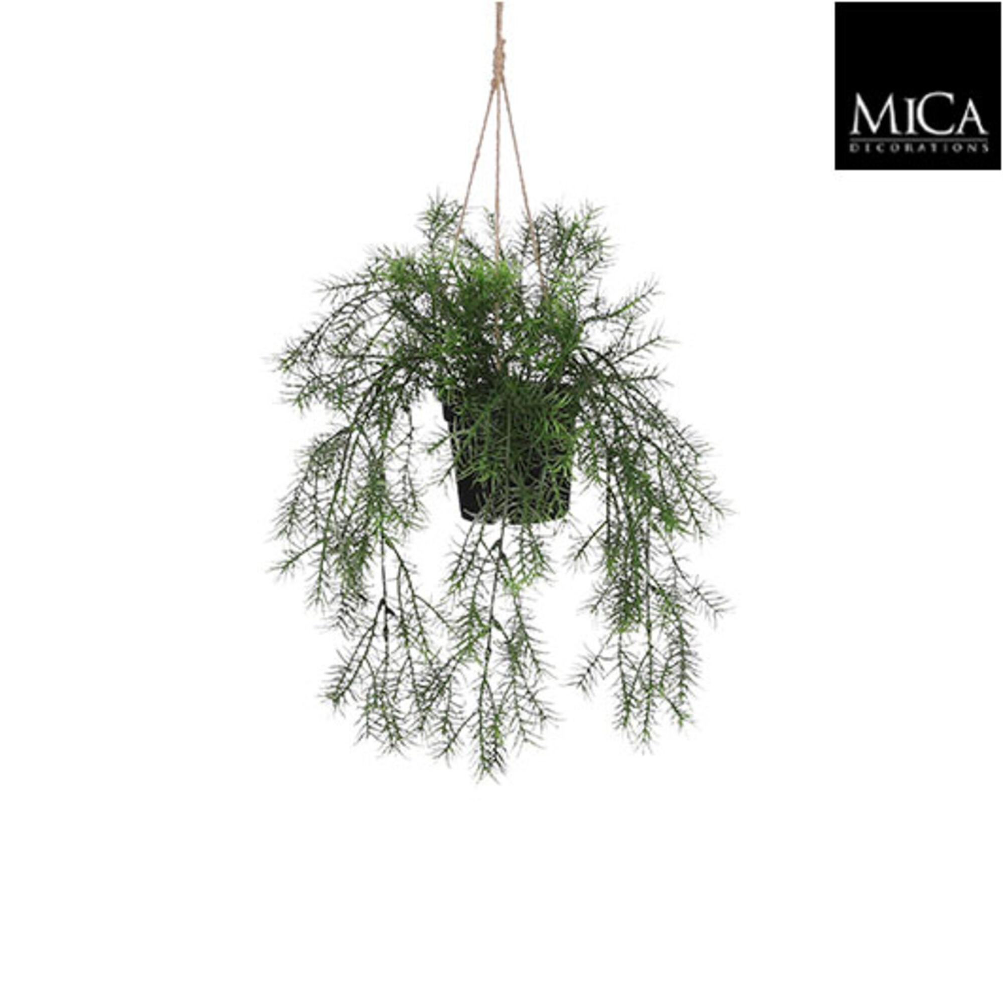 Springeria hangend in pot groen
