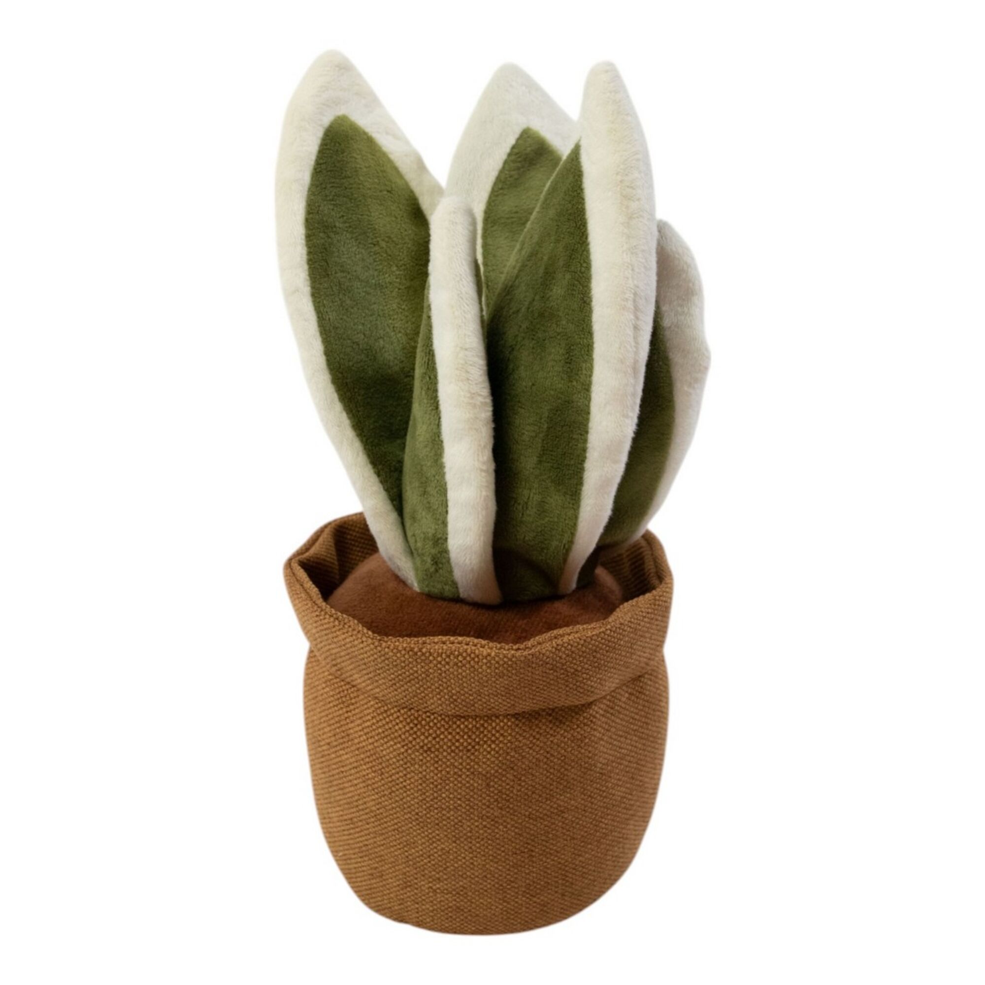 deurstopper plant sanseviera