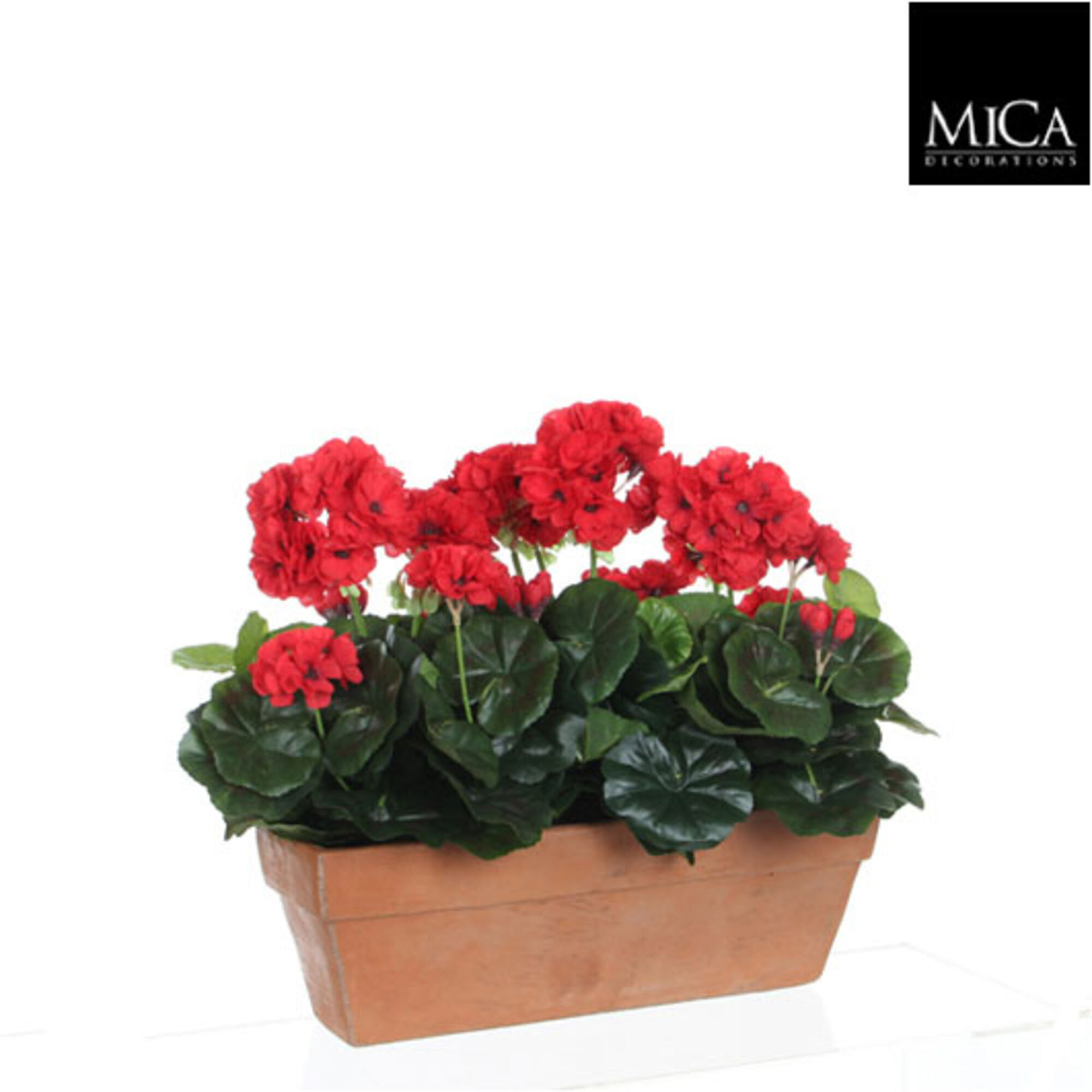 Geranium rood in balkonbak terra