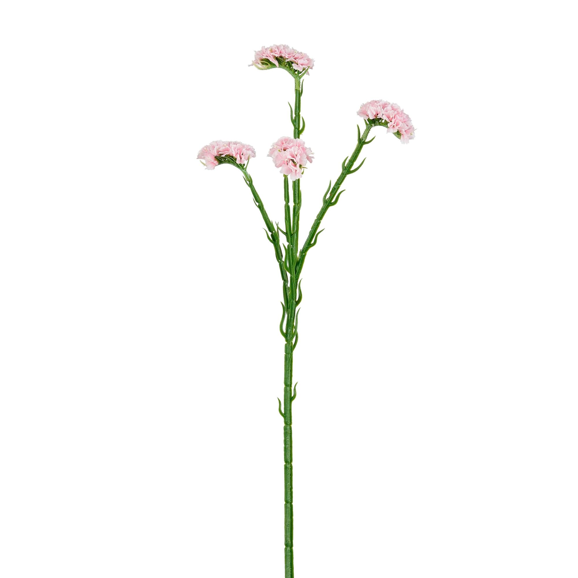 Vergeet-mij-Nietje roze