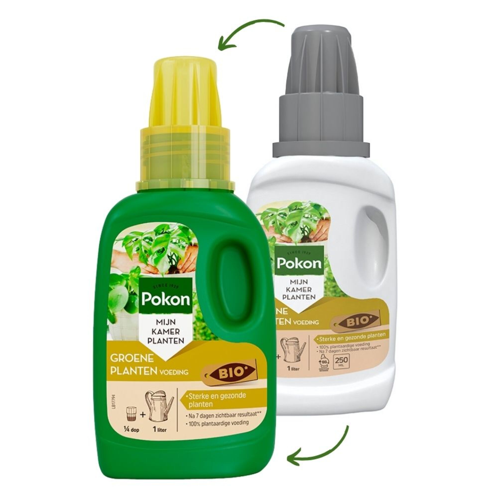 Pokon Bio Groene planten Voeding