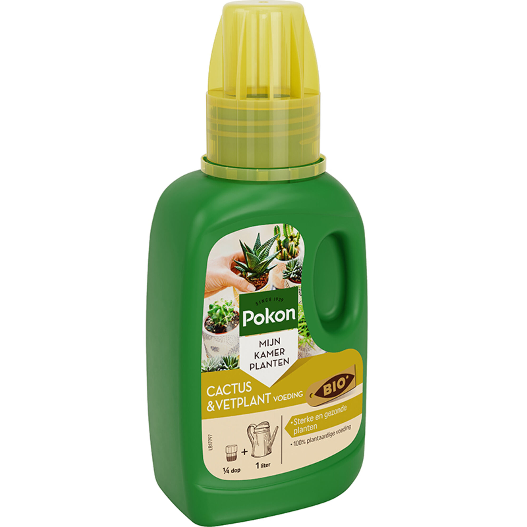 Pokon Bio Cactus & Vetplant Voeding