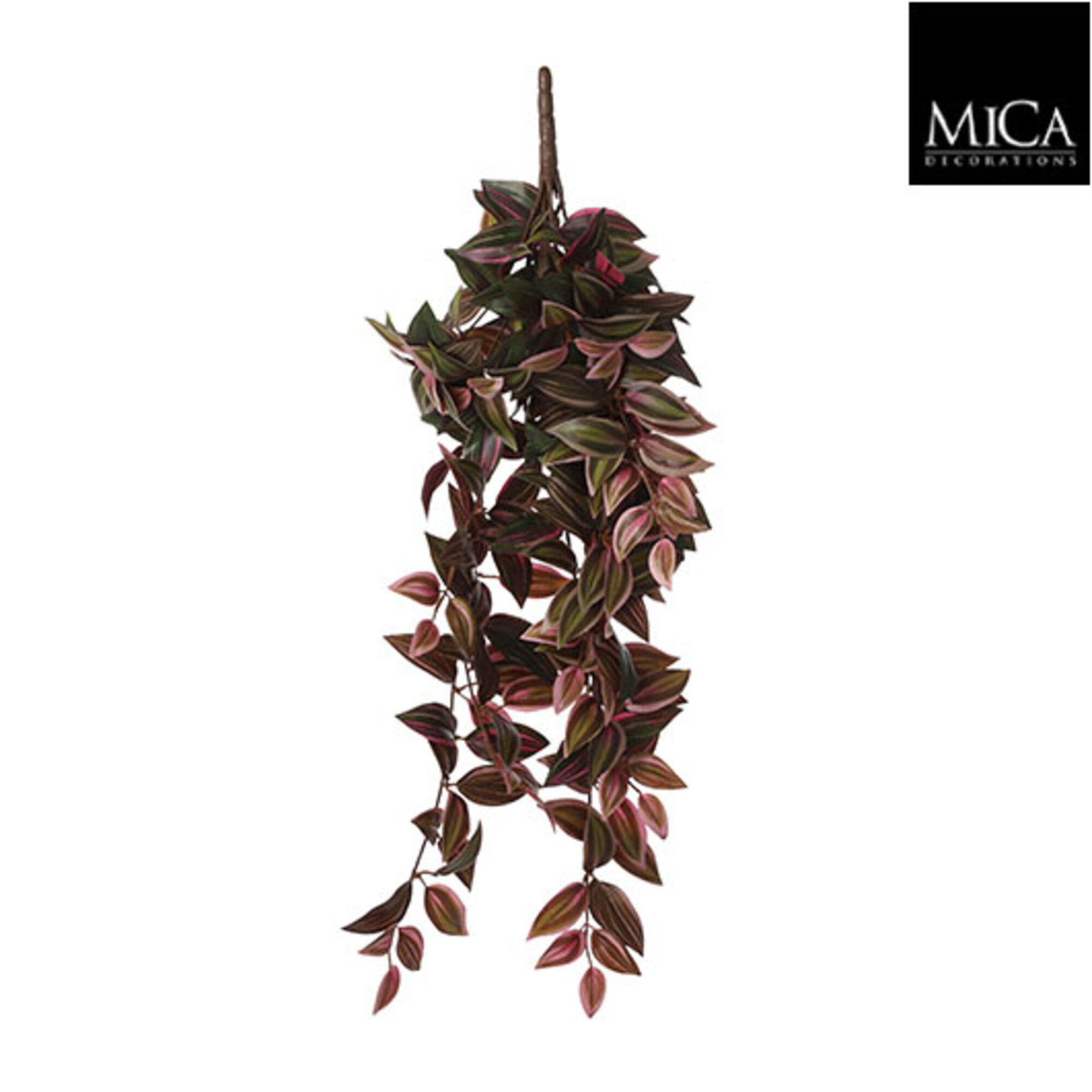 Tradescantia hangend bordeaux