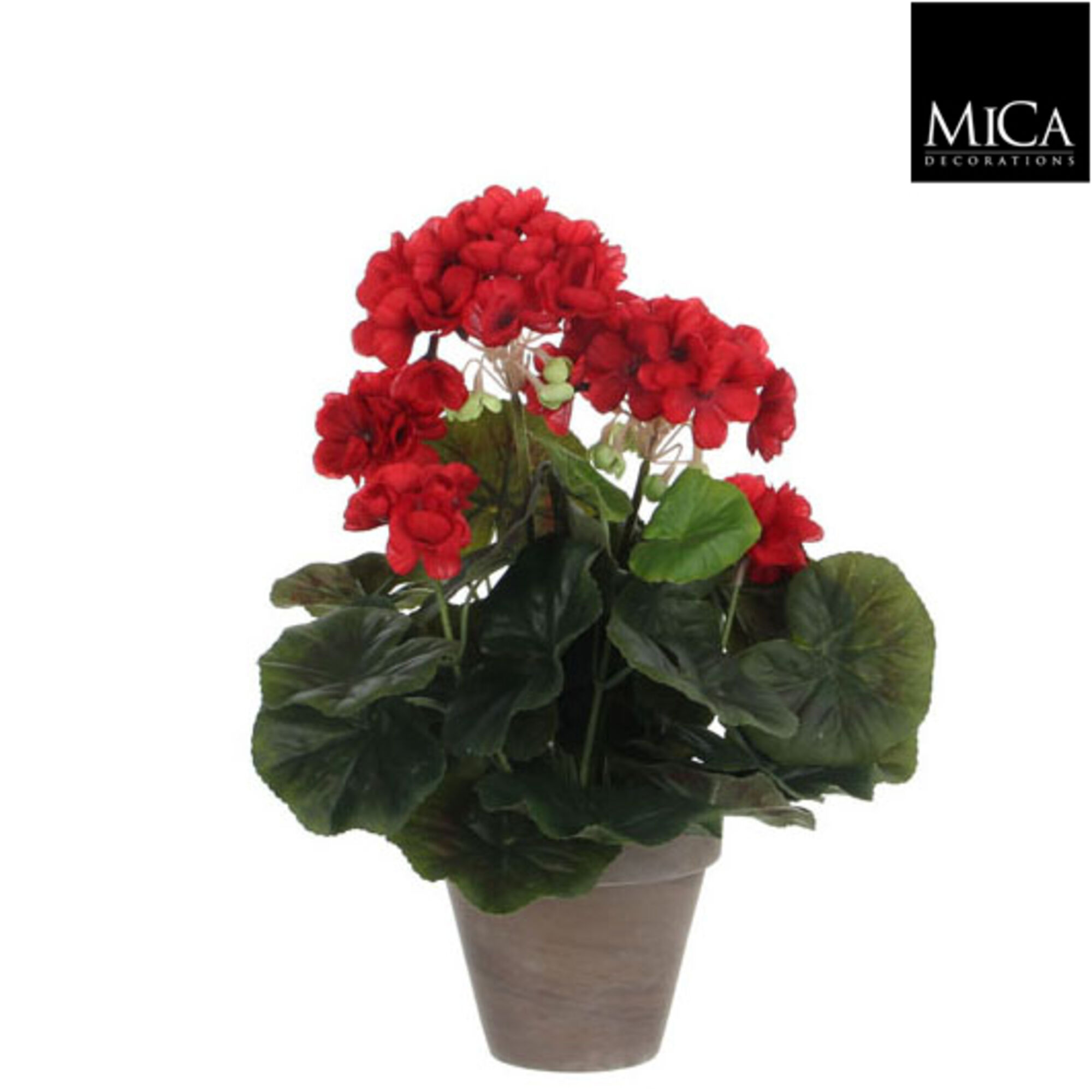 Geranium rood in pot Stan grijs d11,5cm