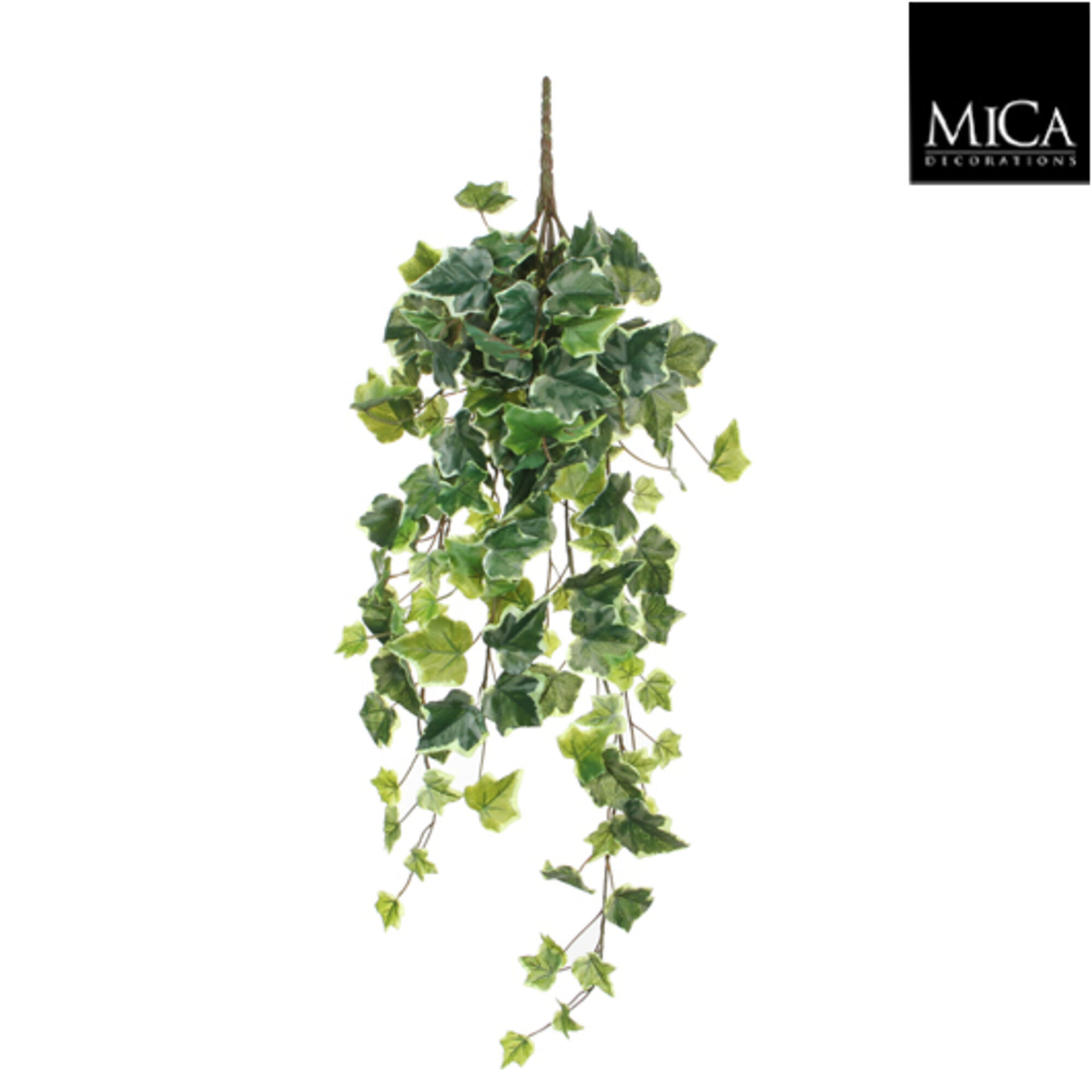 Hedera hangend groen bont