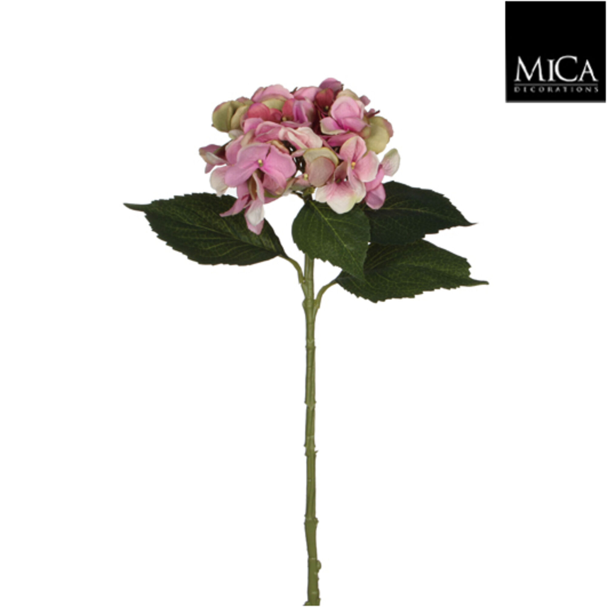 Hortensia roze