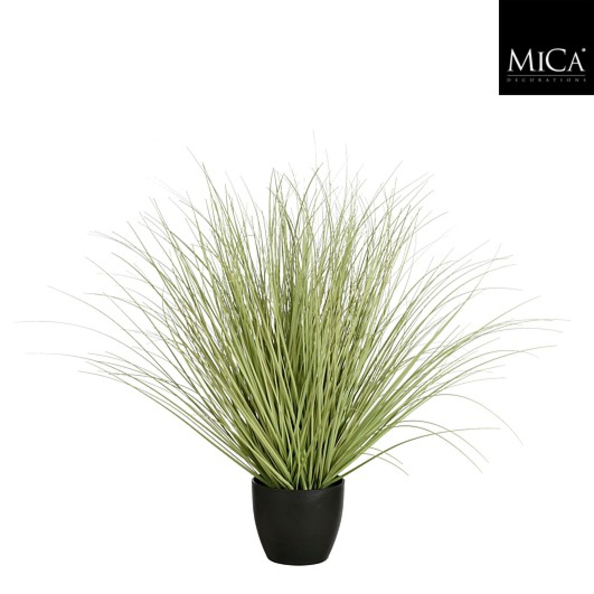 Gras groen in plastic pot d14,5cm