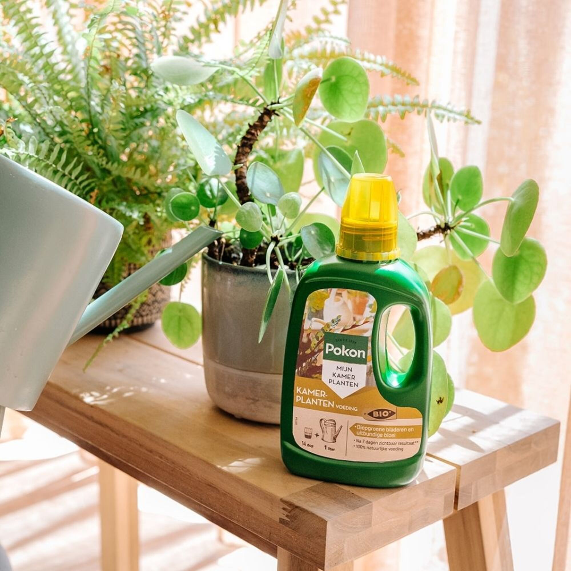 Pokon Bio Kamerplanten Voeding