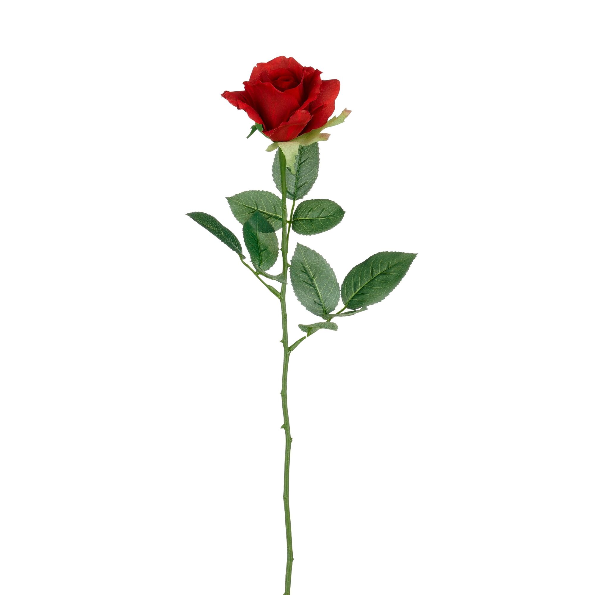 Roos rood