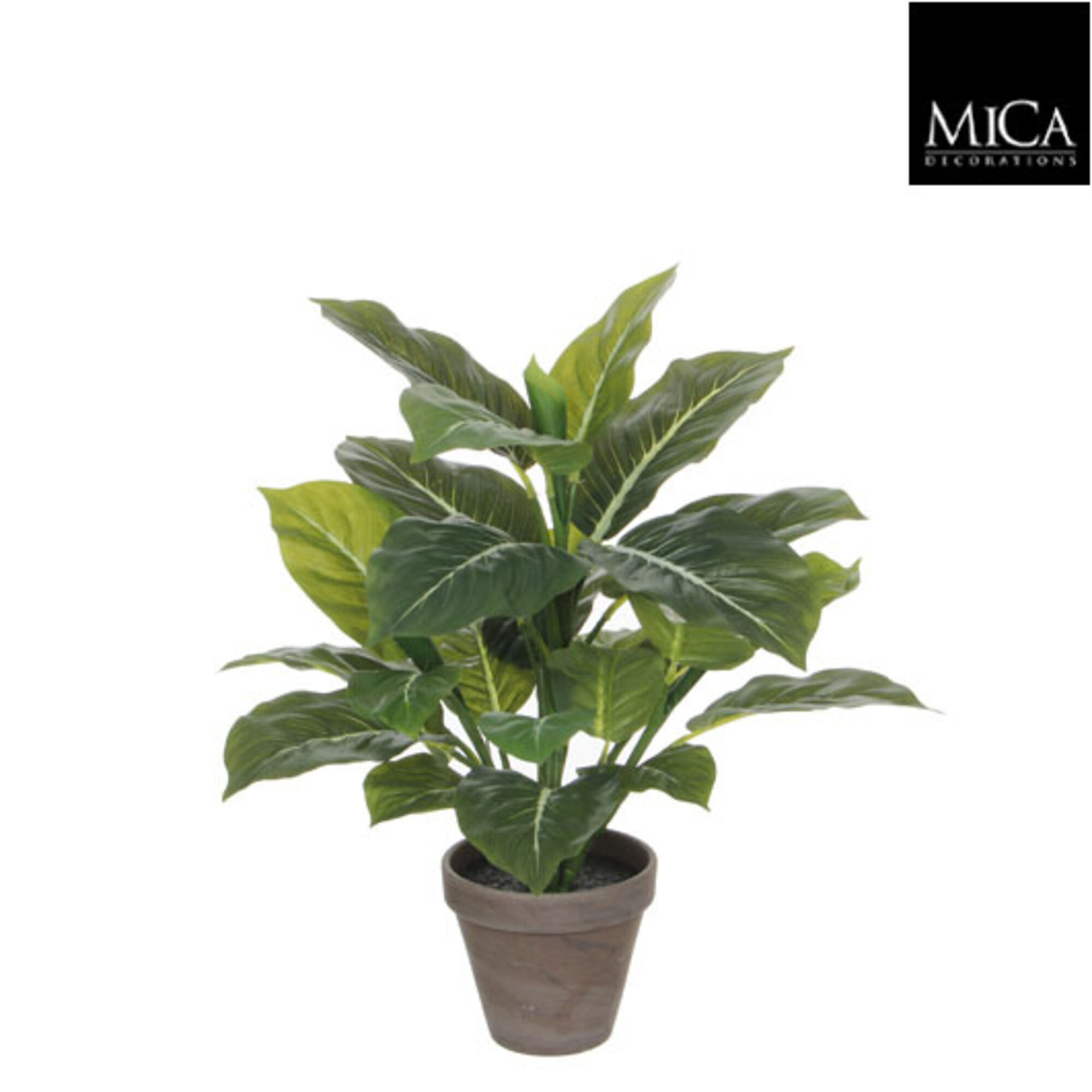 Evergreen in pot Stan grijs d13,5cm