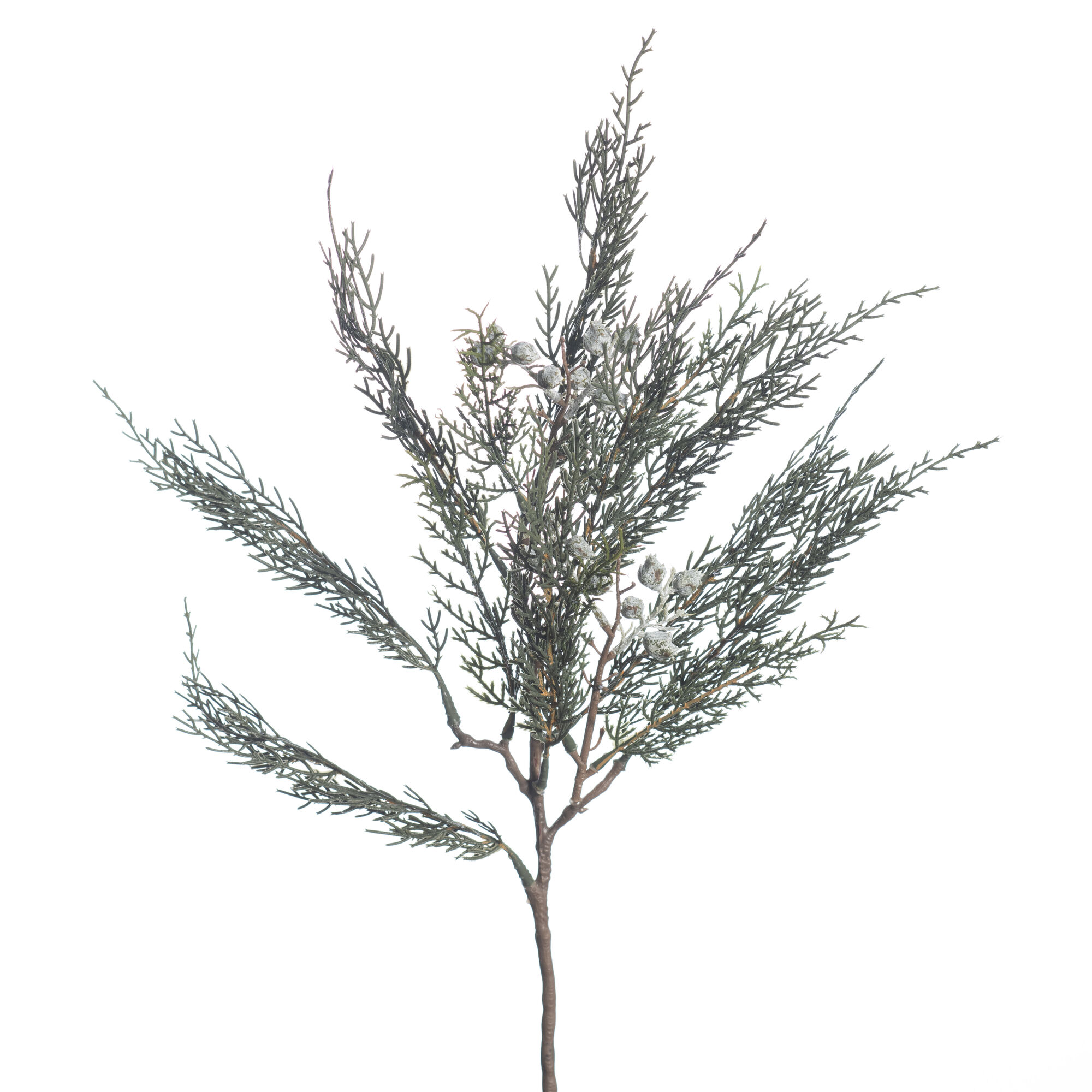 Pine w/cone green
