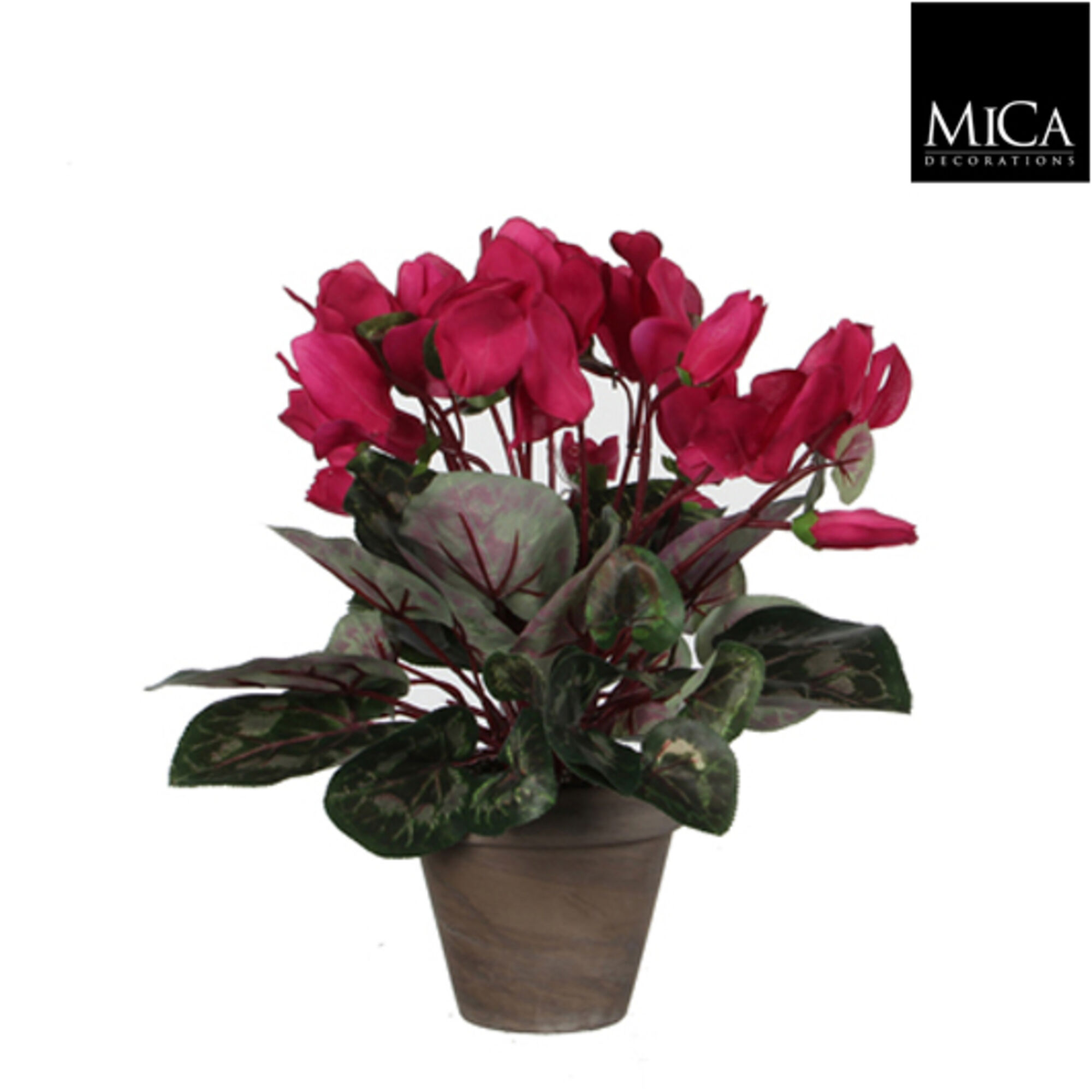 Cyclaam d.roze in pot Stan grijs d11,5cm