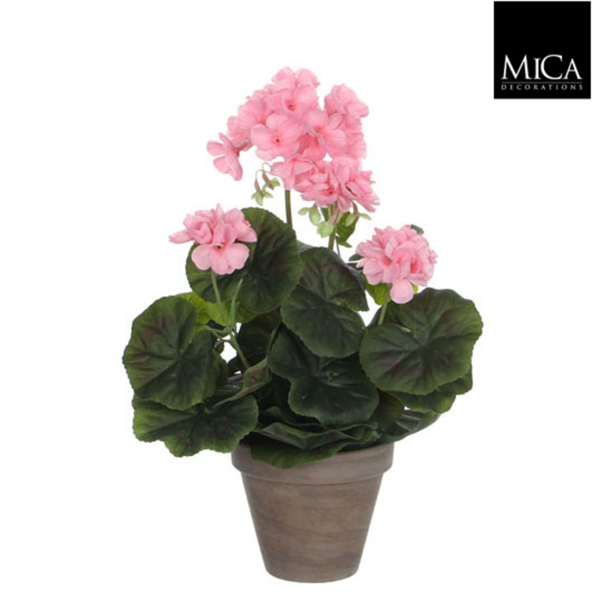 Geranium roze in pot Stan grijs d11,5cm