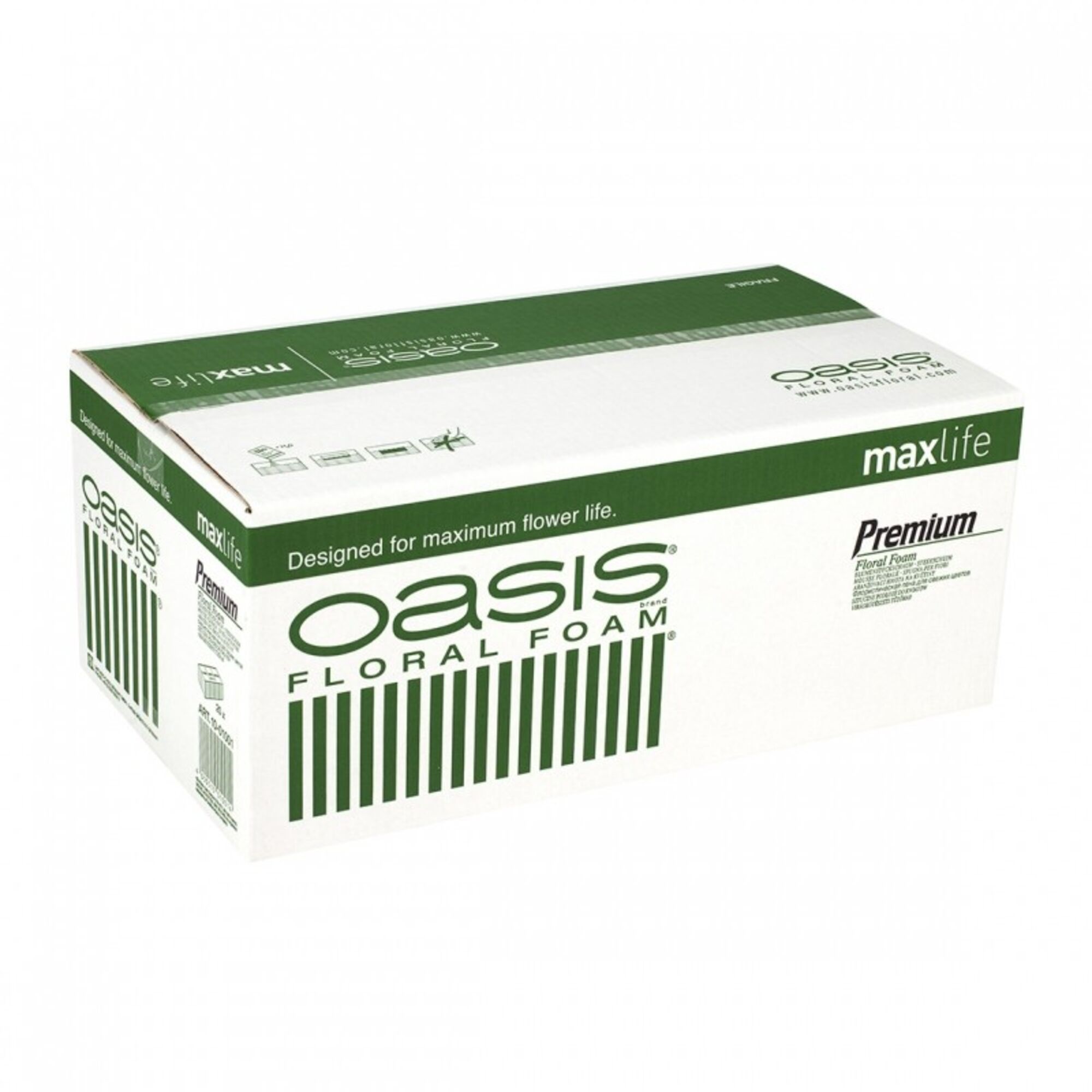 Oasis Premium Euro 35