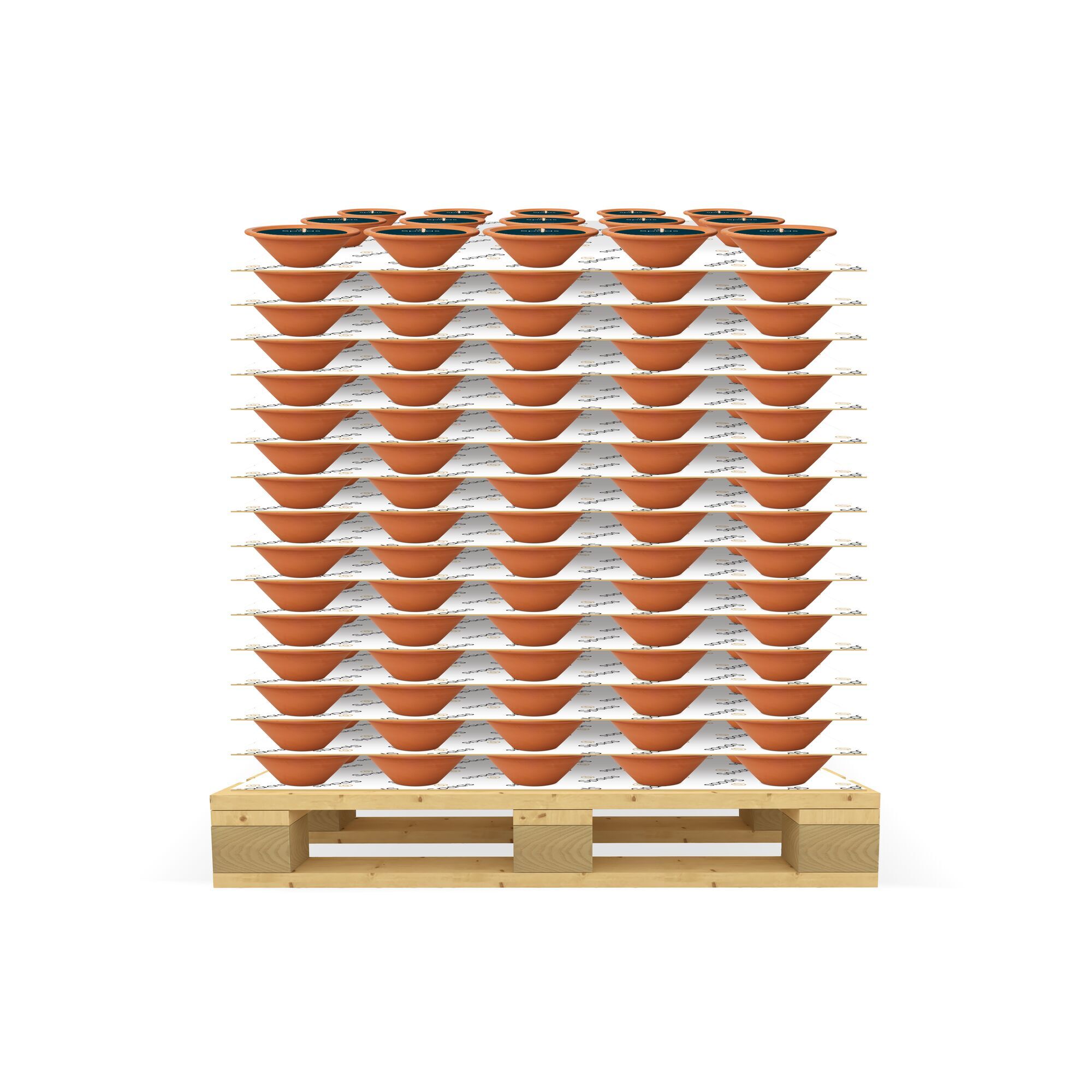 Conical Royal Flame ivoor