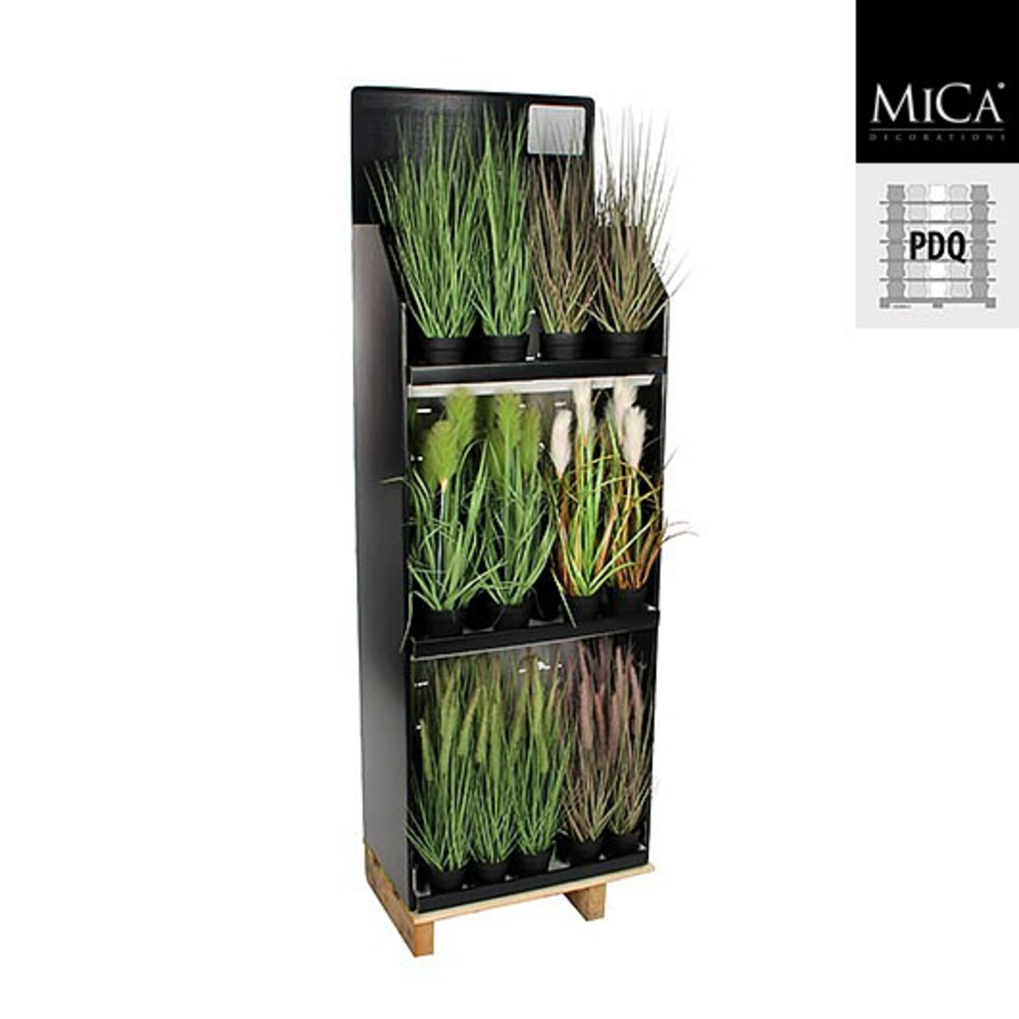 Gras in pot 6 assorti pdq 36 stuks