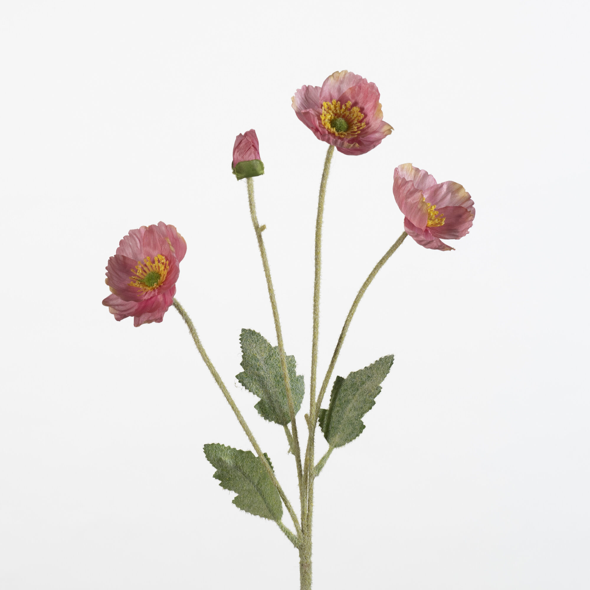 Papaver spray x4 flock - D.pink