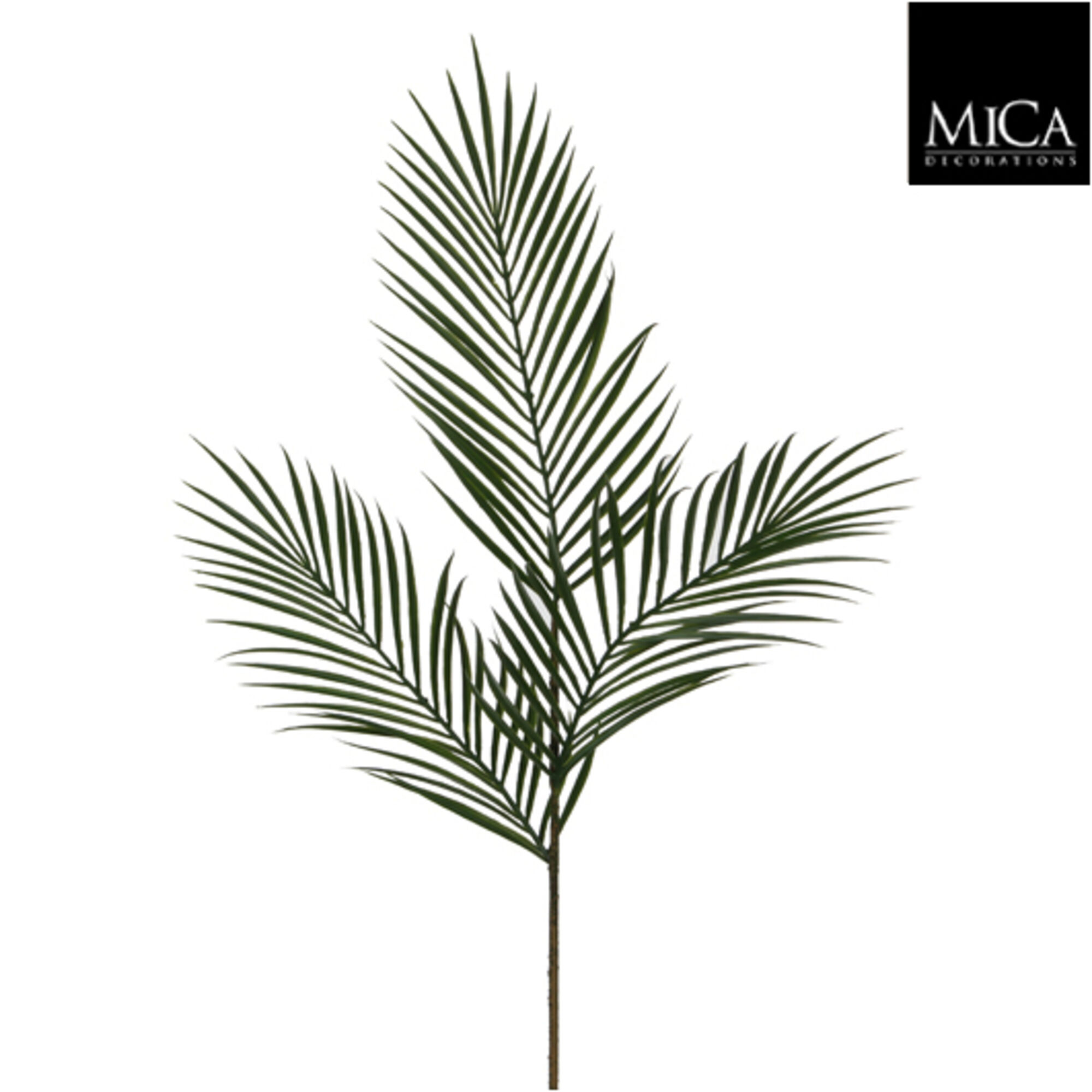 Areca palm groen