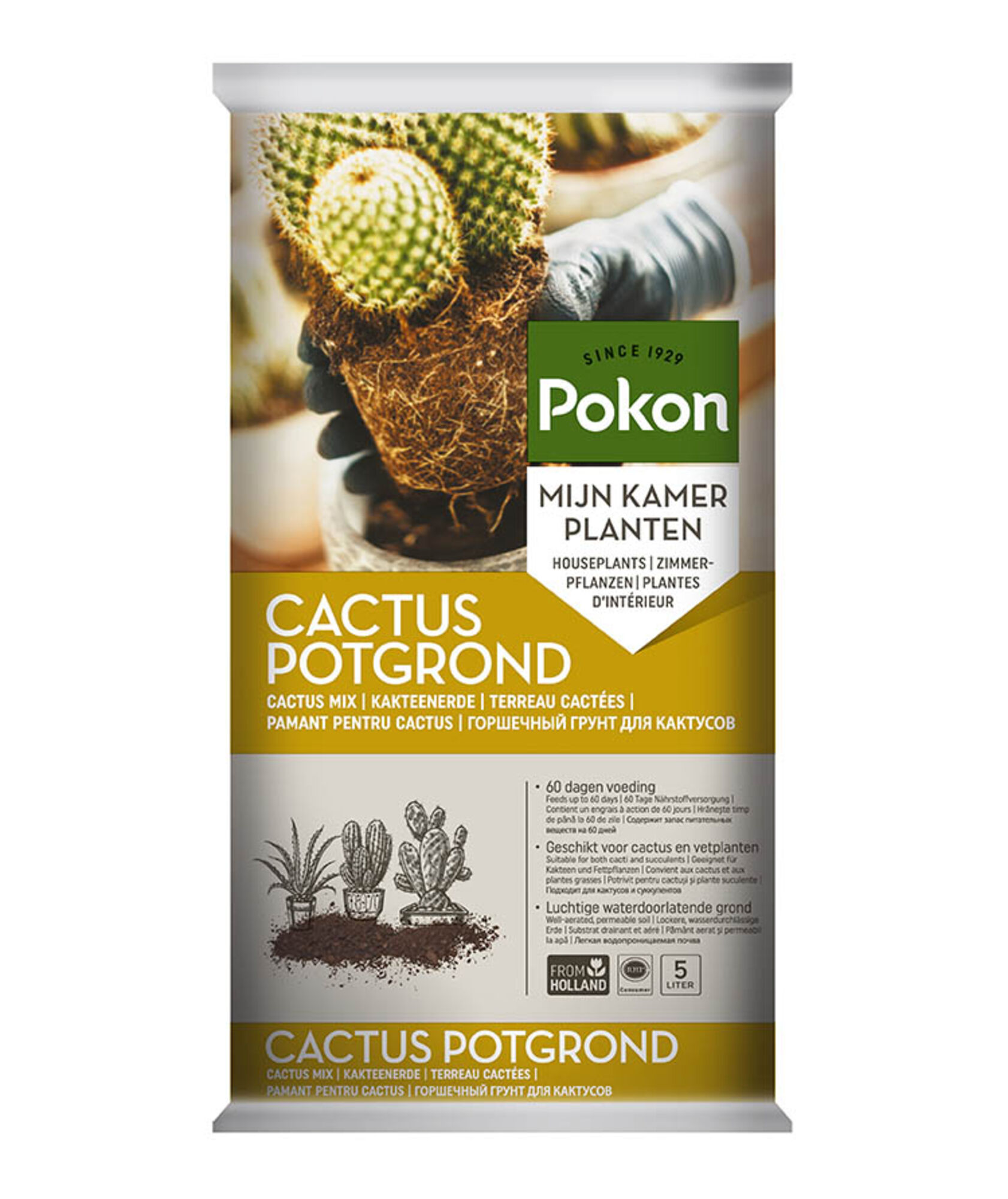 Pokon Cactus Potgrond