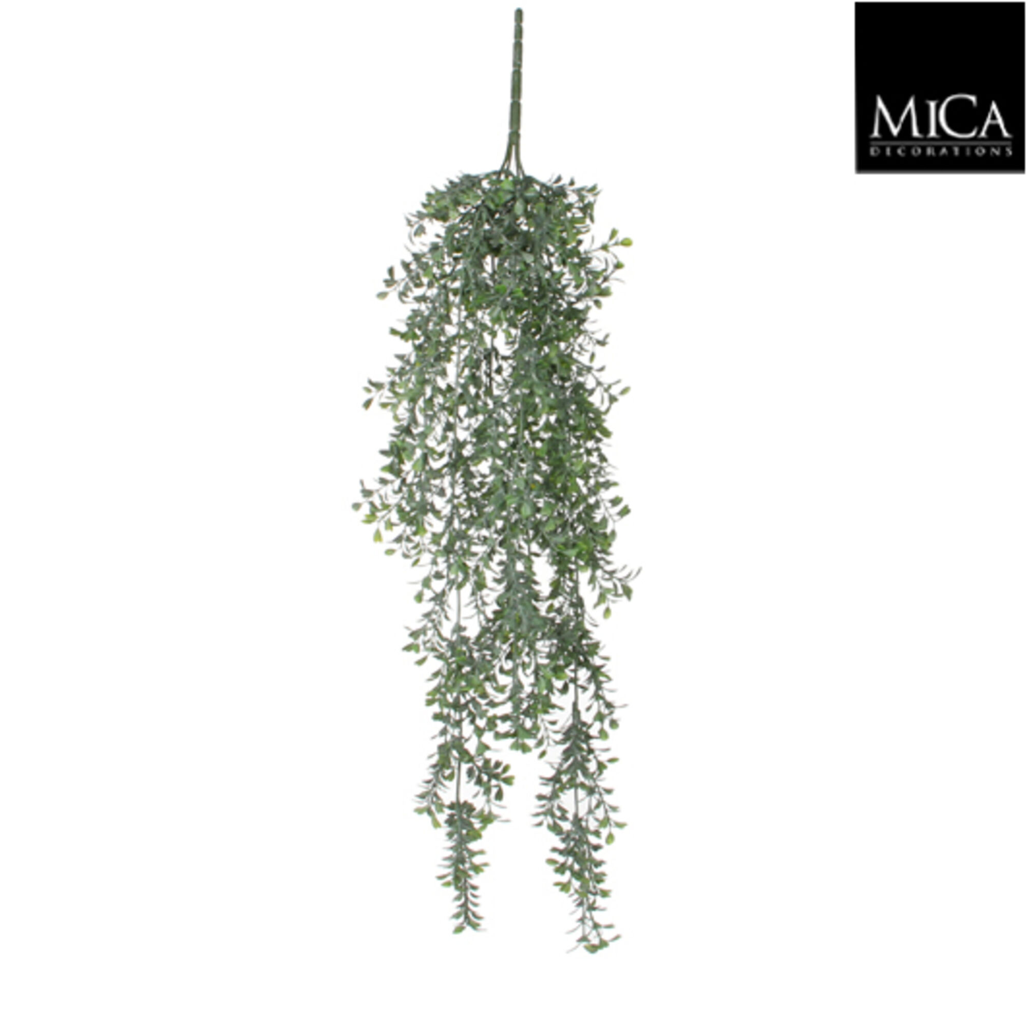 Buxus hangend groen