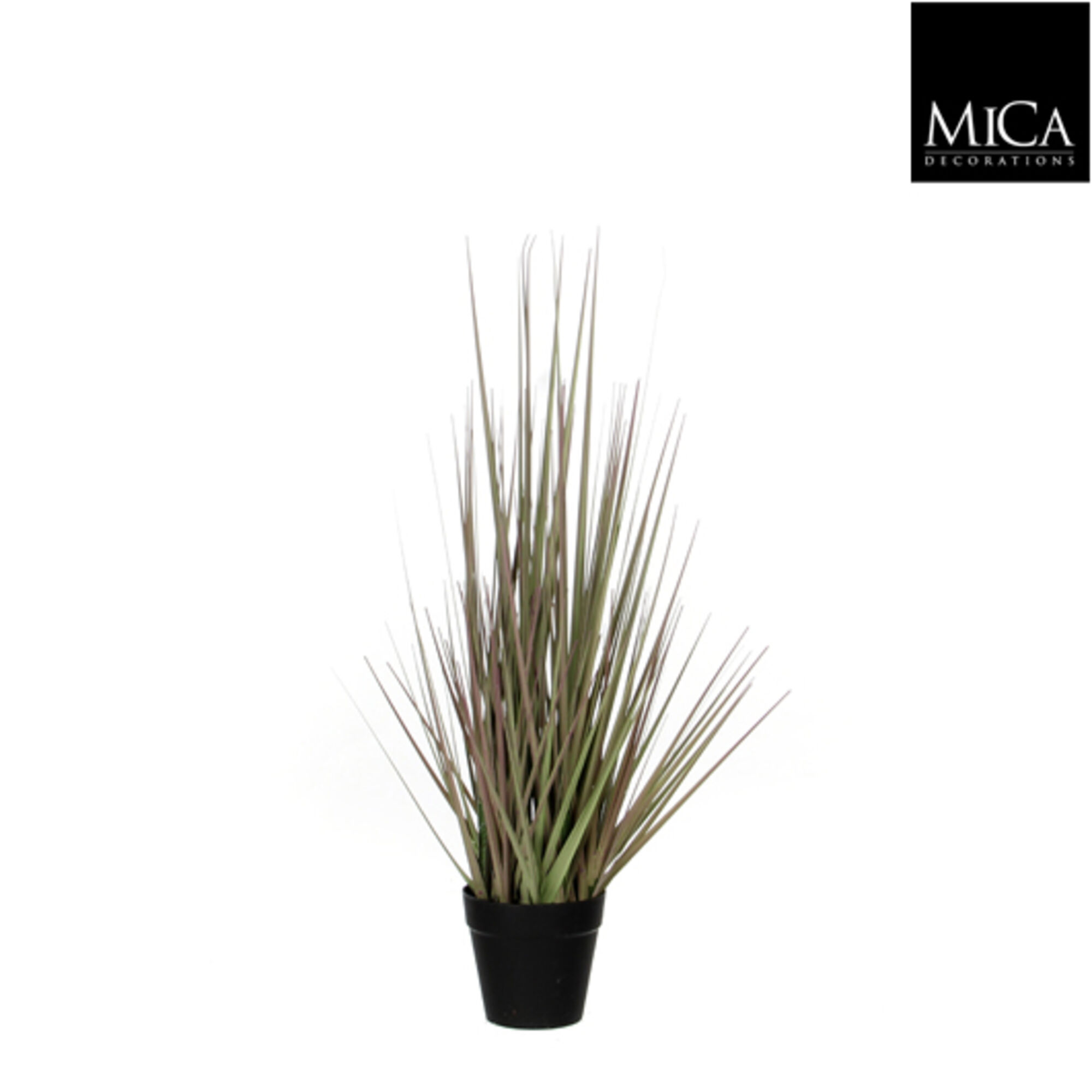 Gras paars in plastic pot d10cm