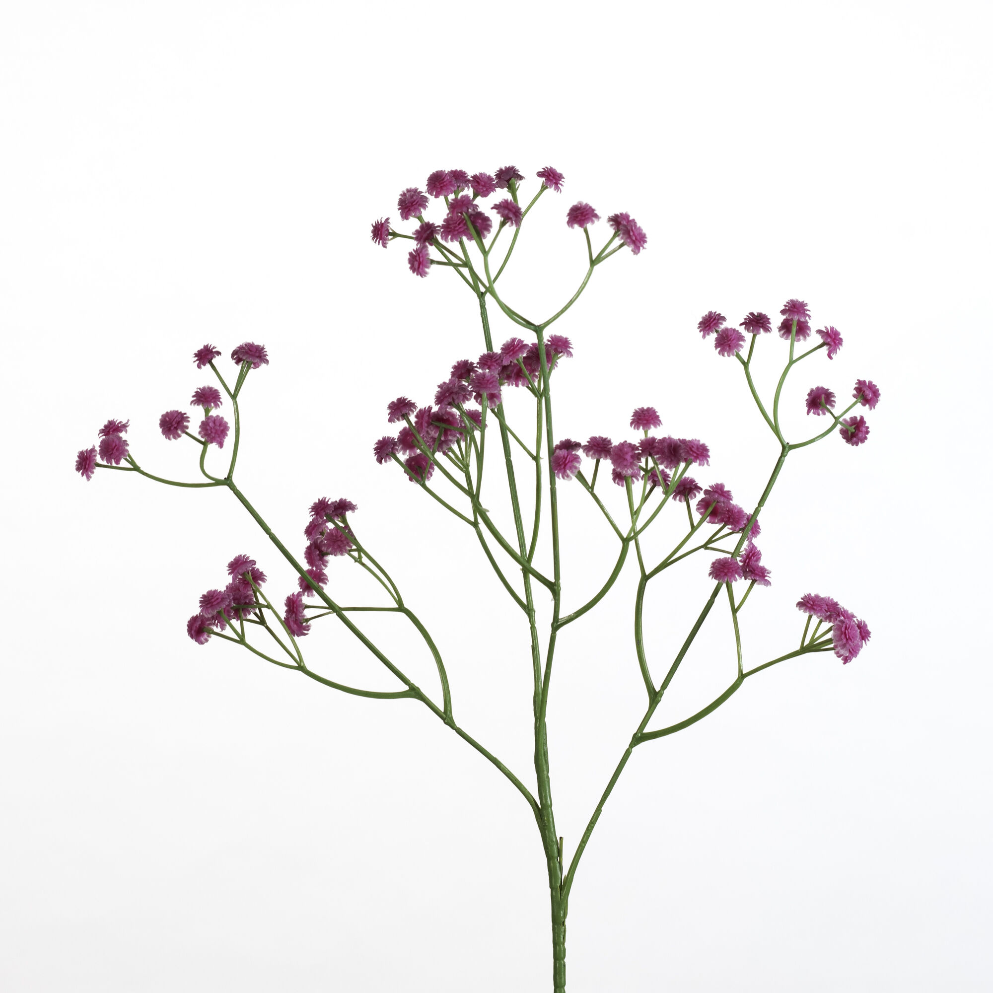Gypsophila spray - D.pink
