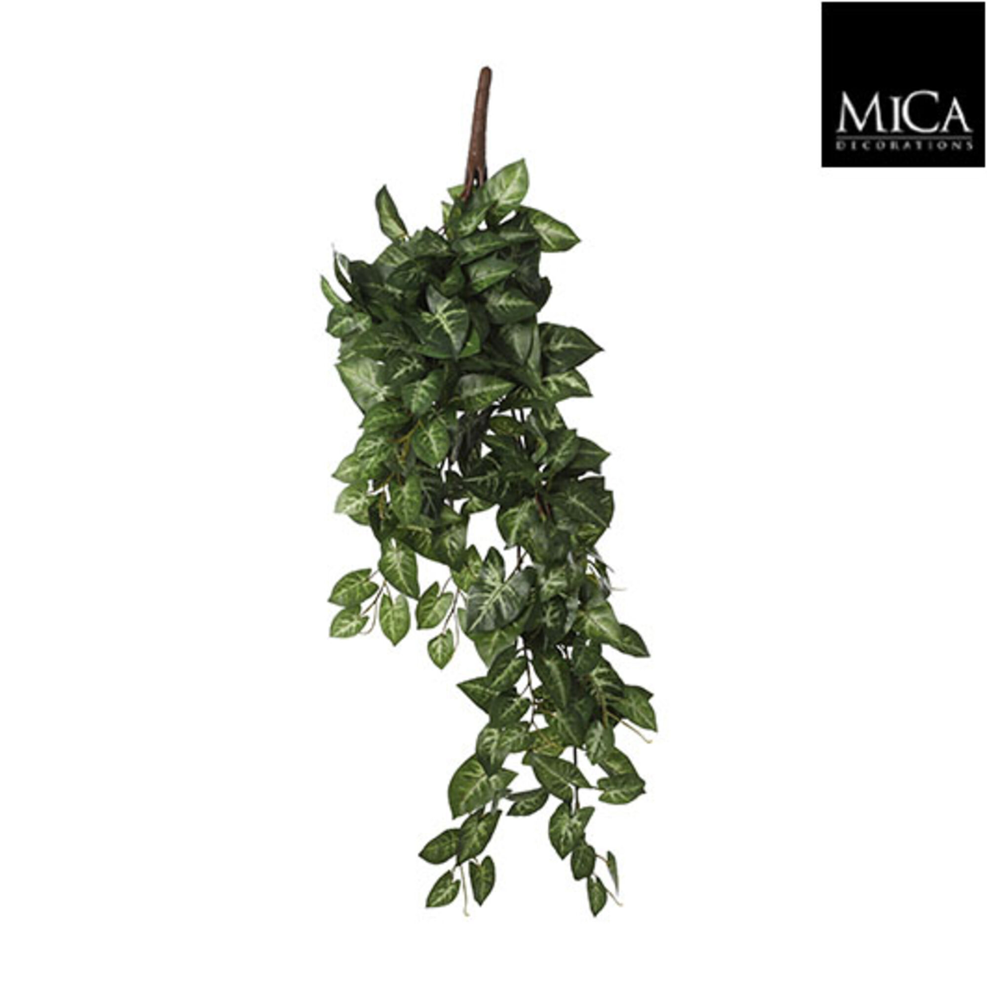 Syngonium hangend groen