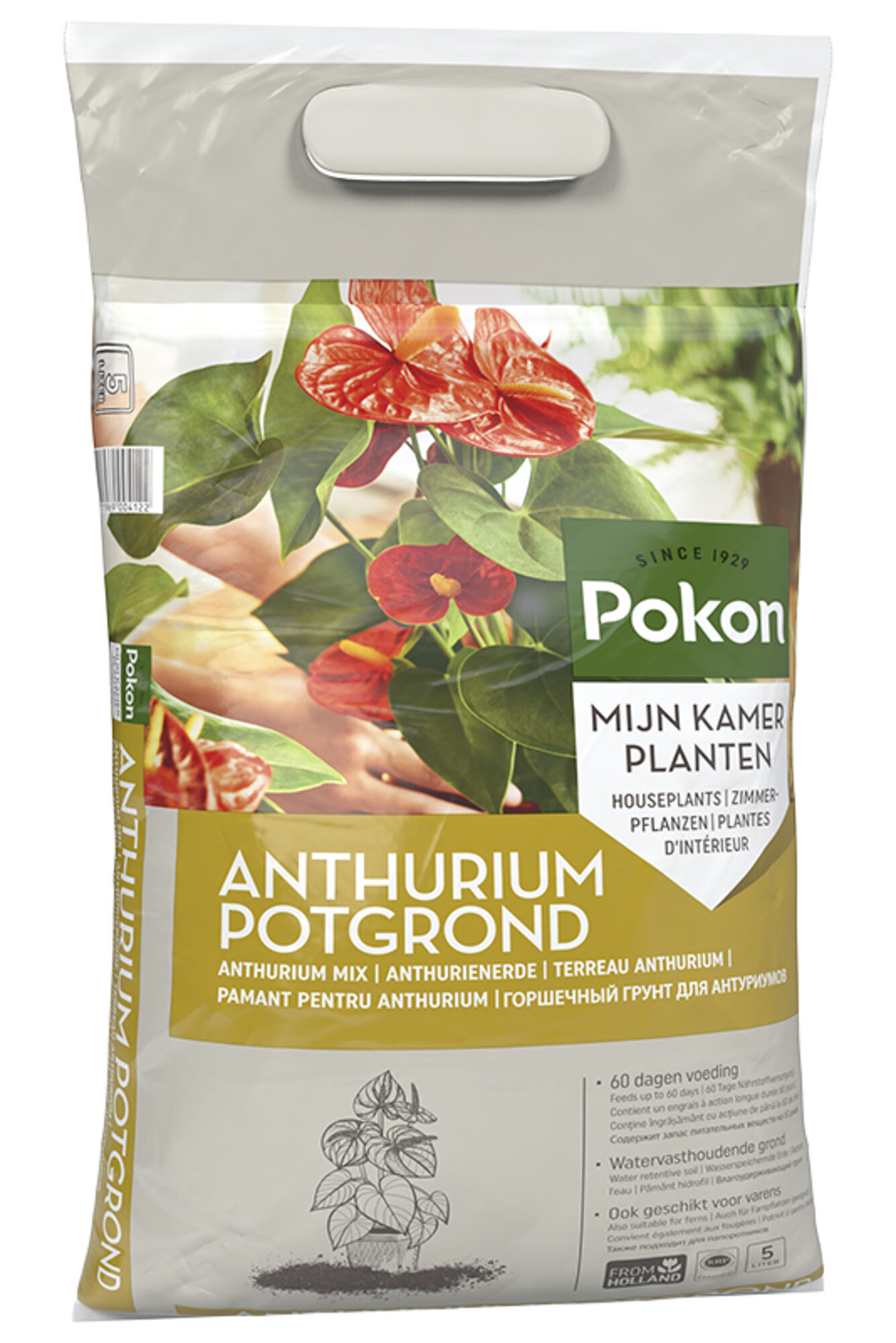 Pokon Anthurium Potgrond