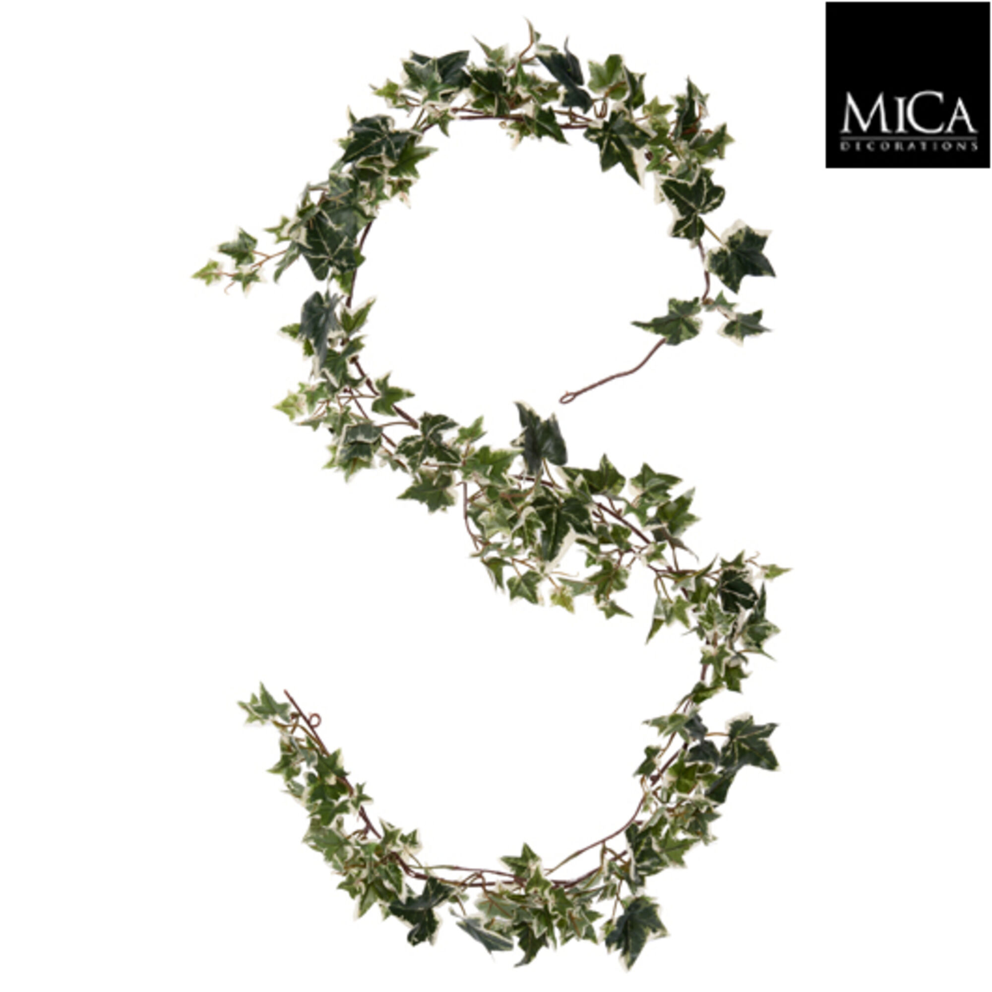 Hedera guirlande groen bont