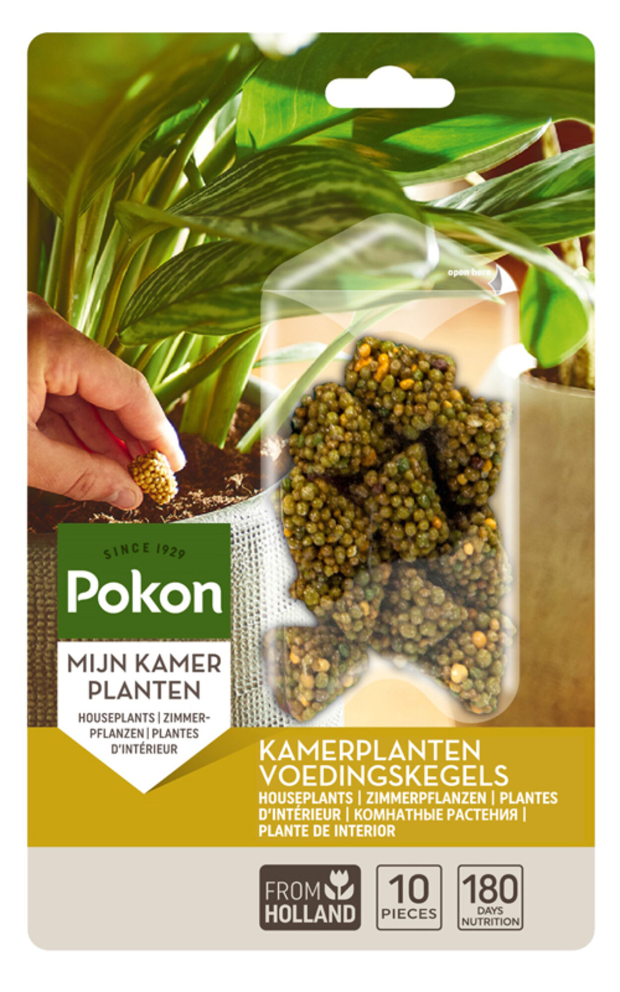 Pokon Kamerplanten Voedingskegels
