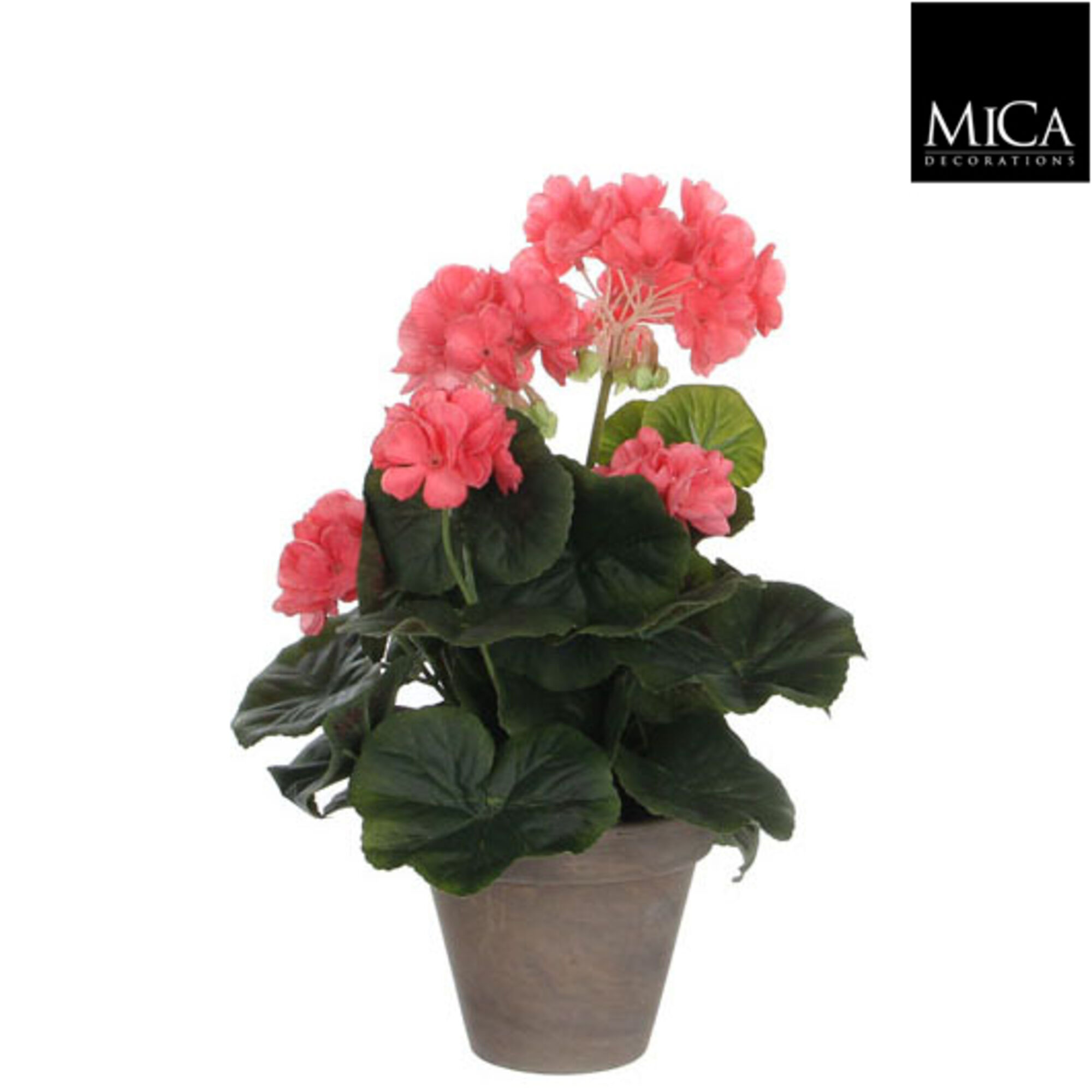 Geranium zalm in pot Stan grijs d11,5cm