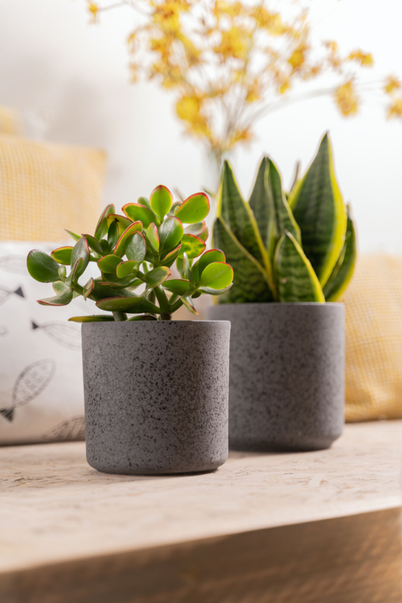 Cylinder Bloempot Keramiek zwart