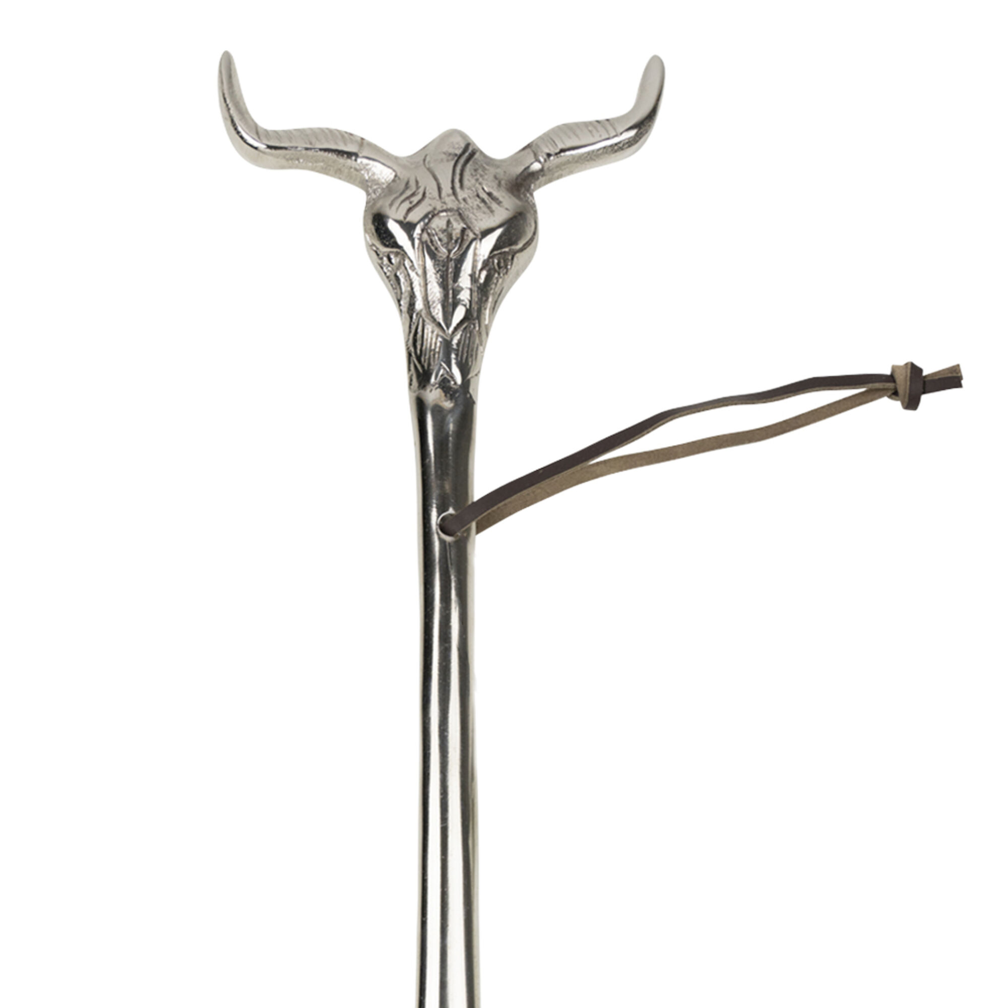 schoenlepel schedel stier