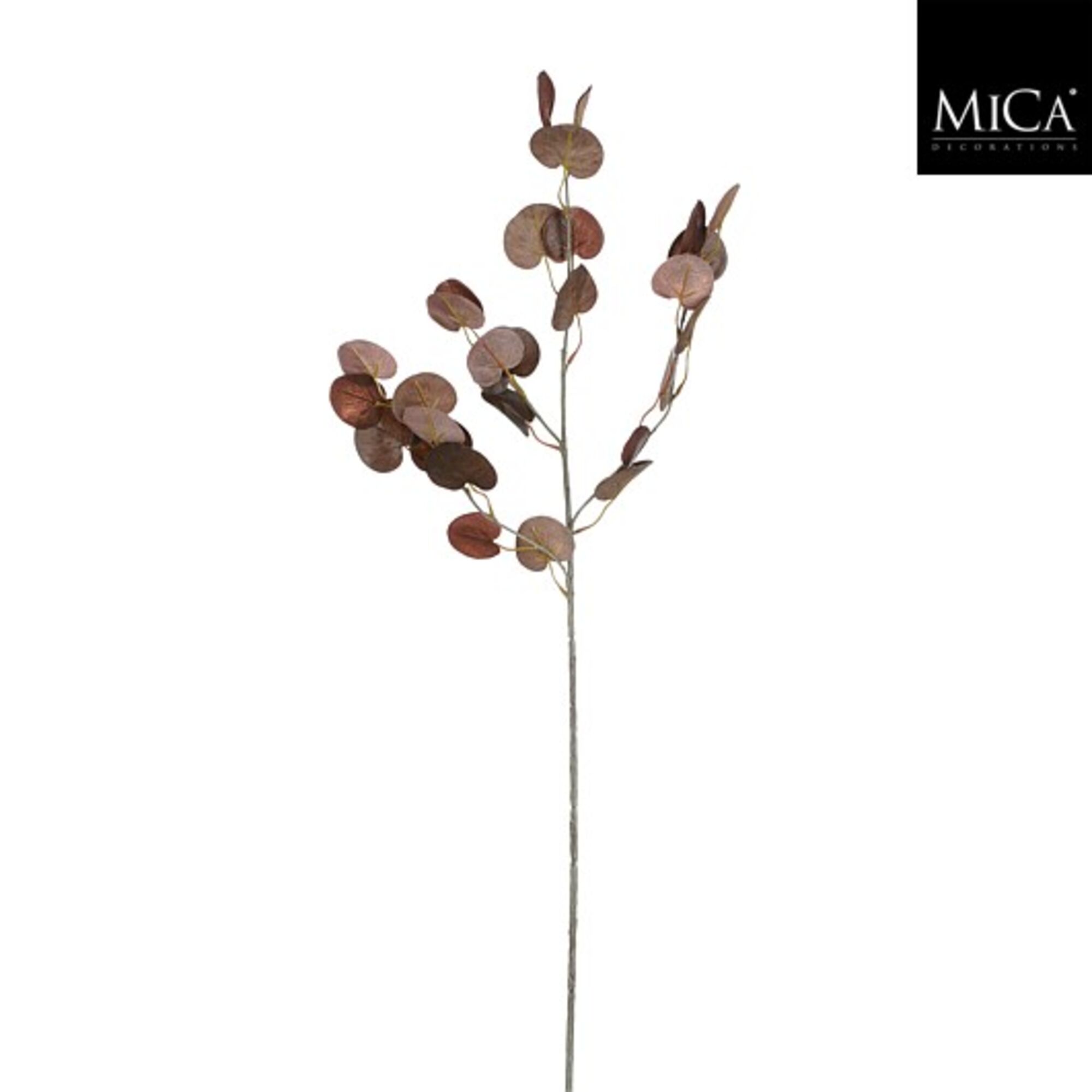 Eucalyptus blad tak bruin