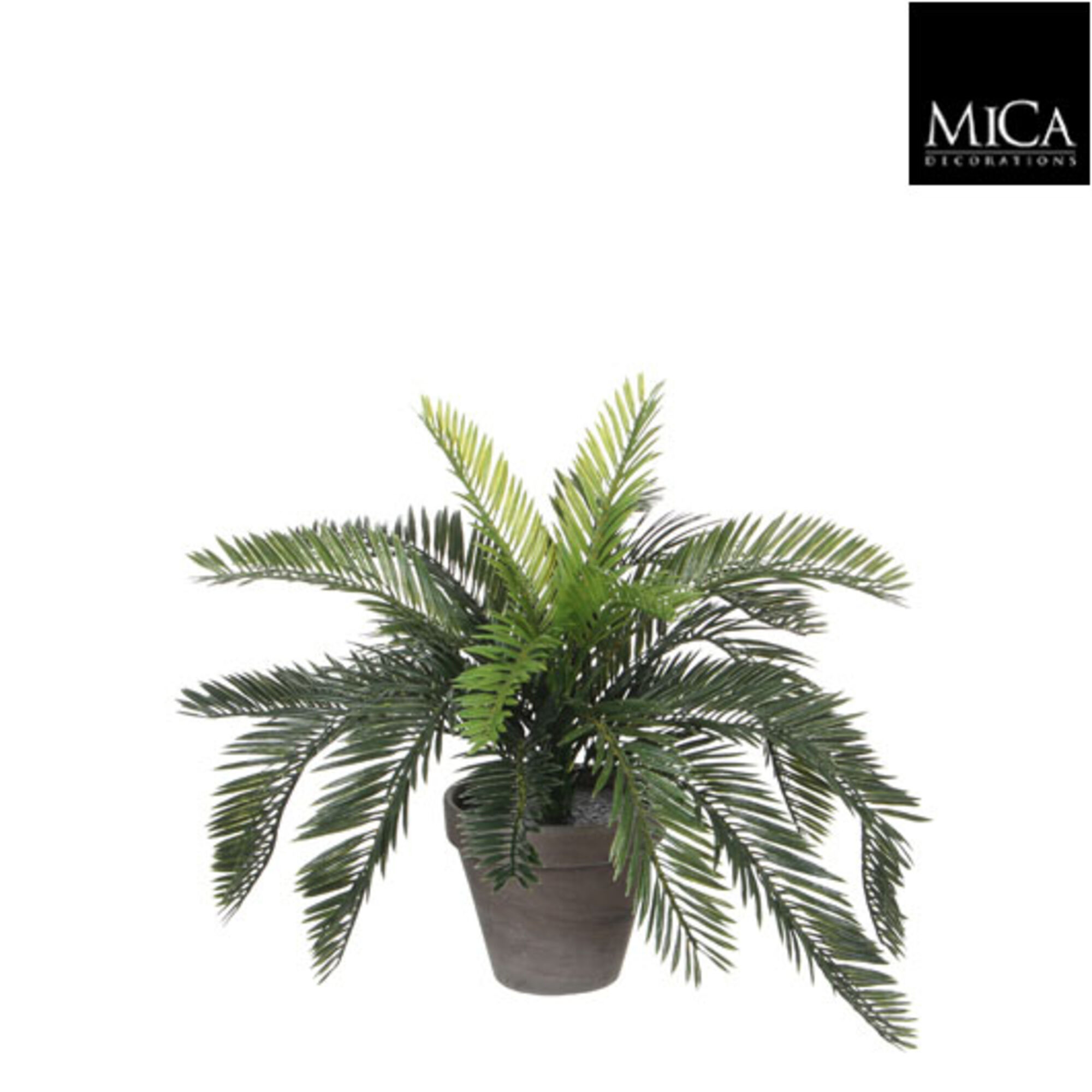 Cycas palm groen in pot Stan grijs d13,5cm