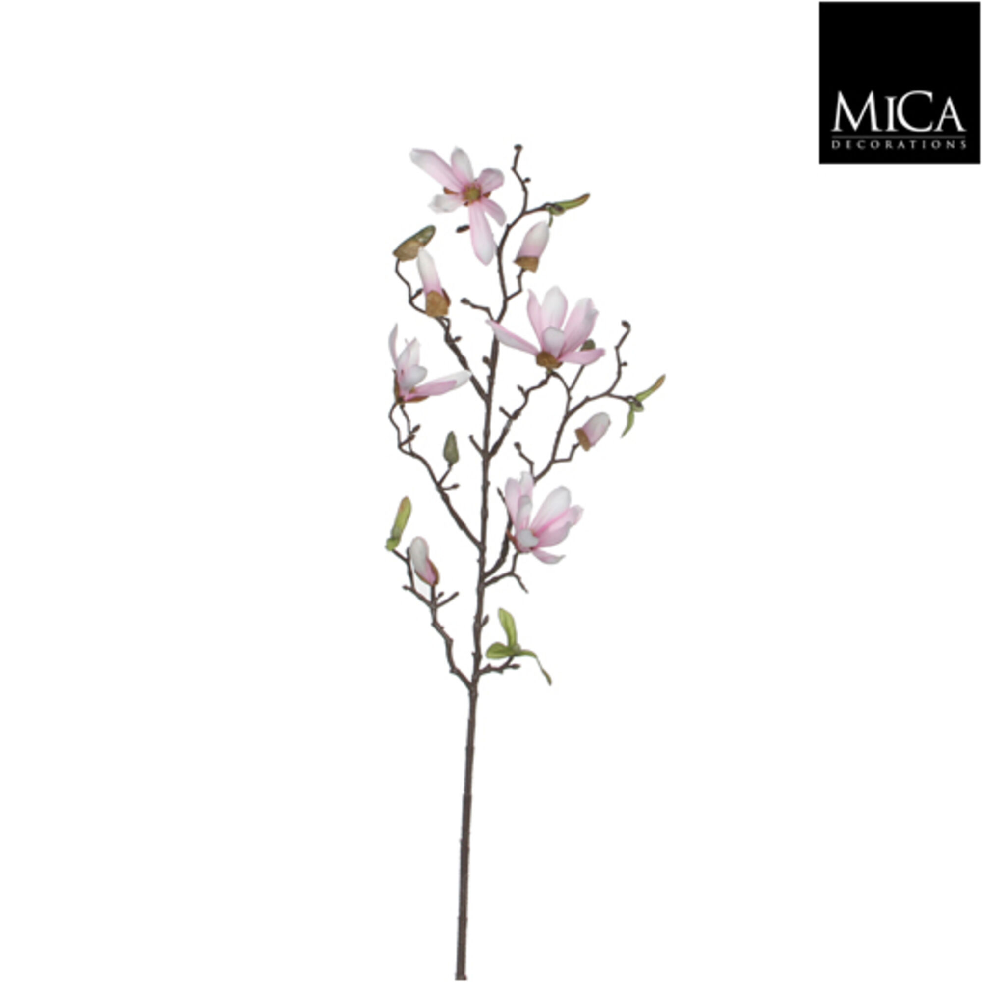 Magnolia roze