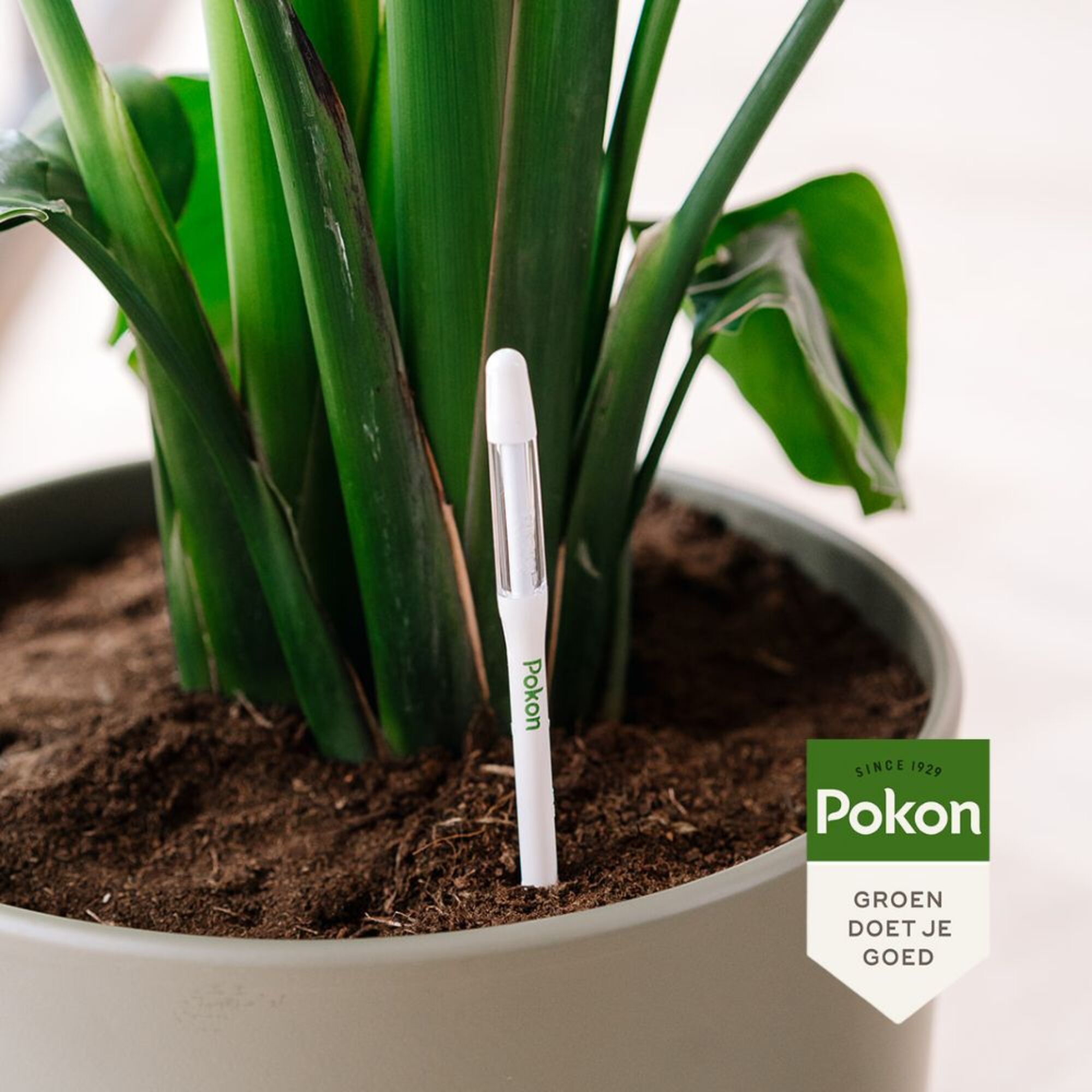 Pokon Watermeter