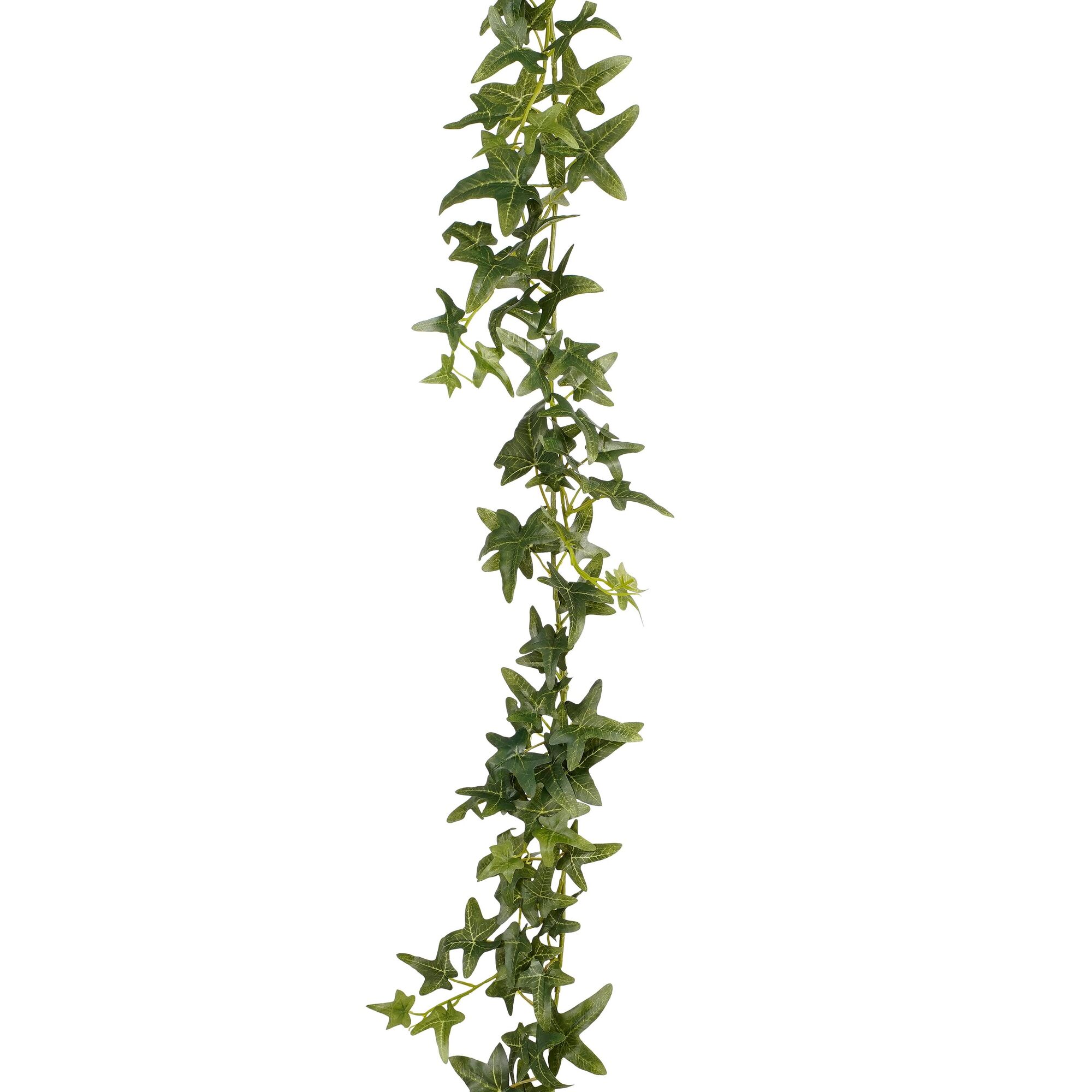 Slinger hedera groen