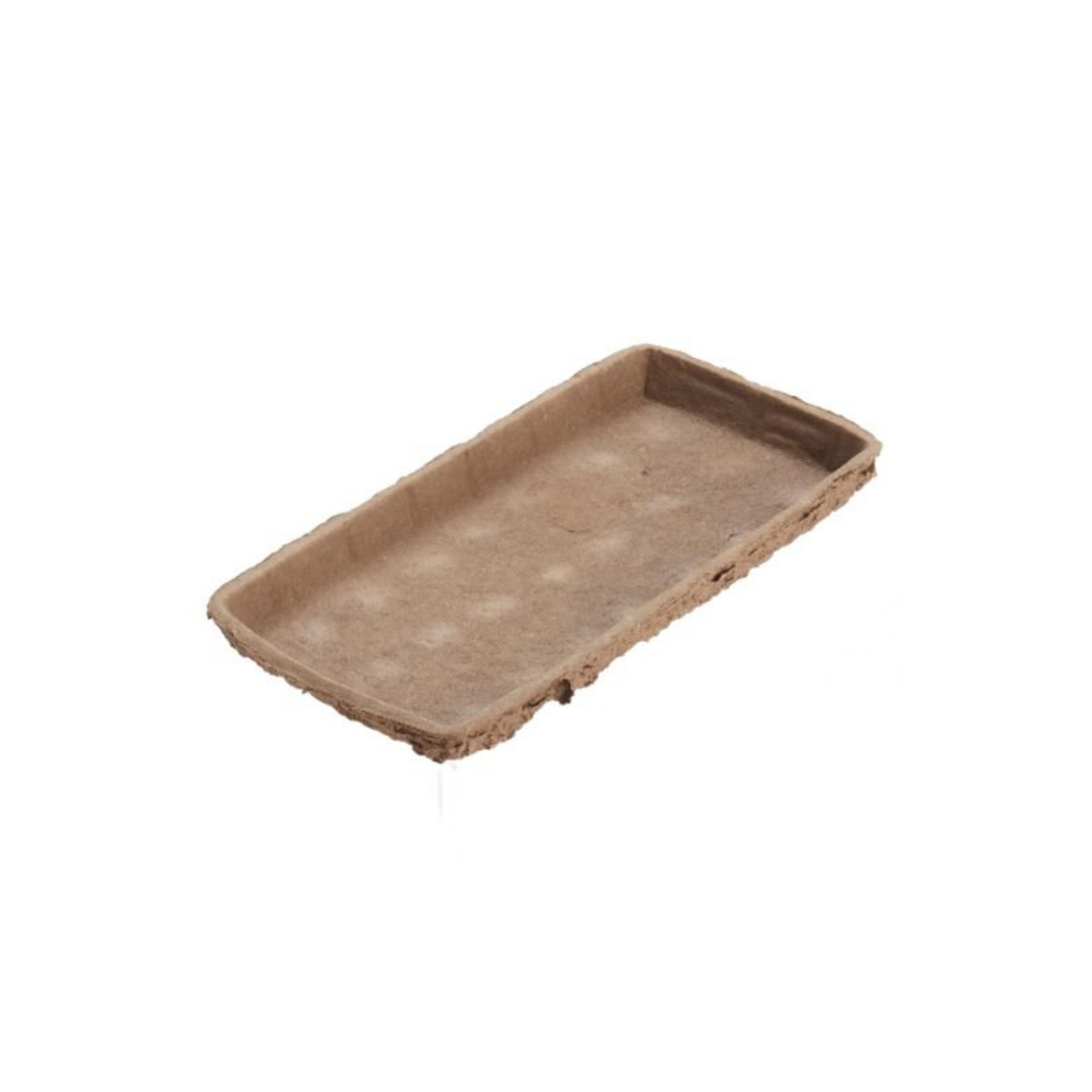 Oasis Biolit Single Brick Tray