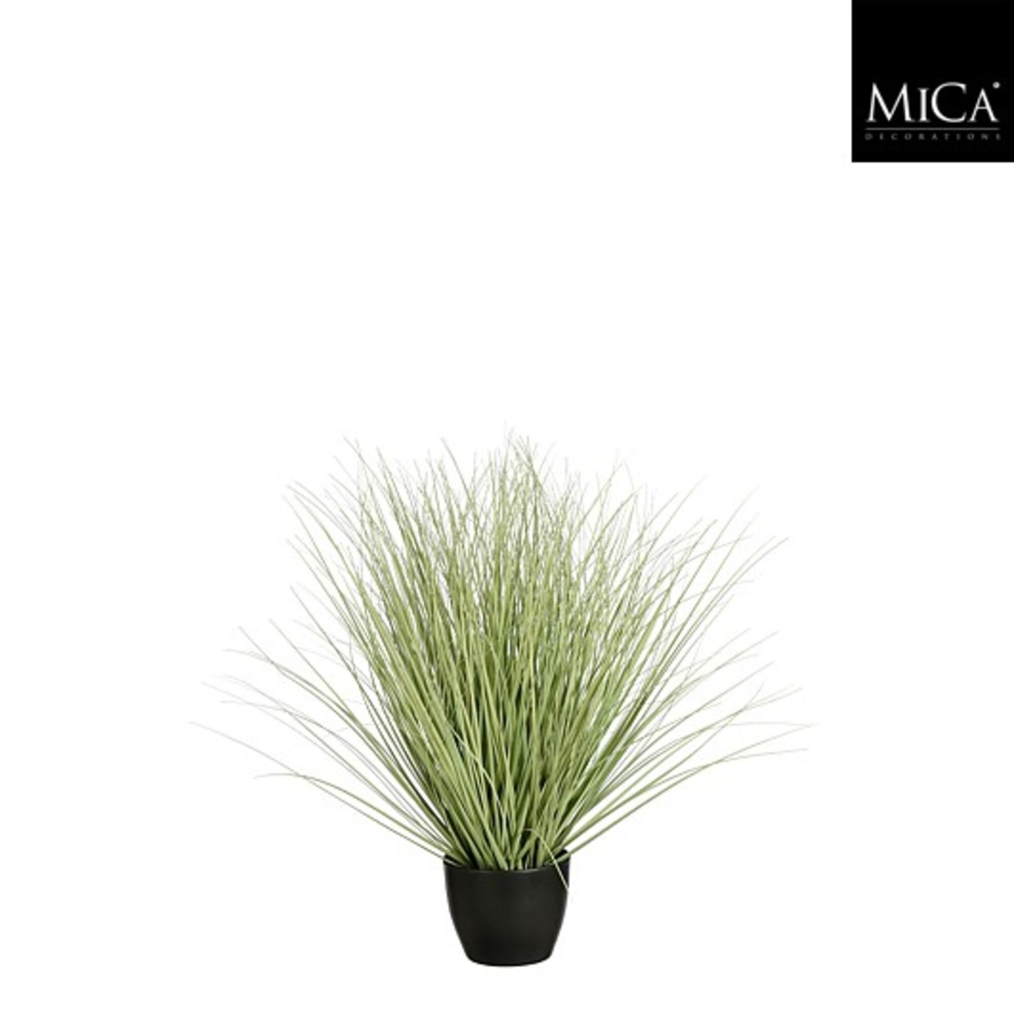 Gras groen in plastic pot d11,5cm
