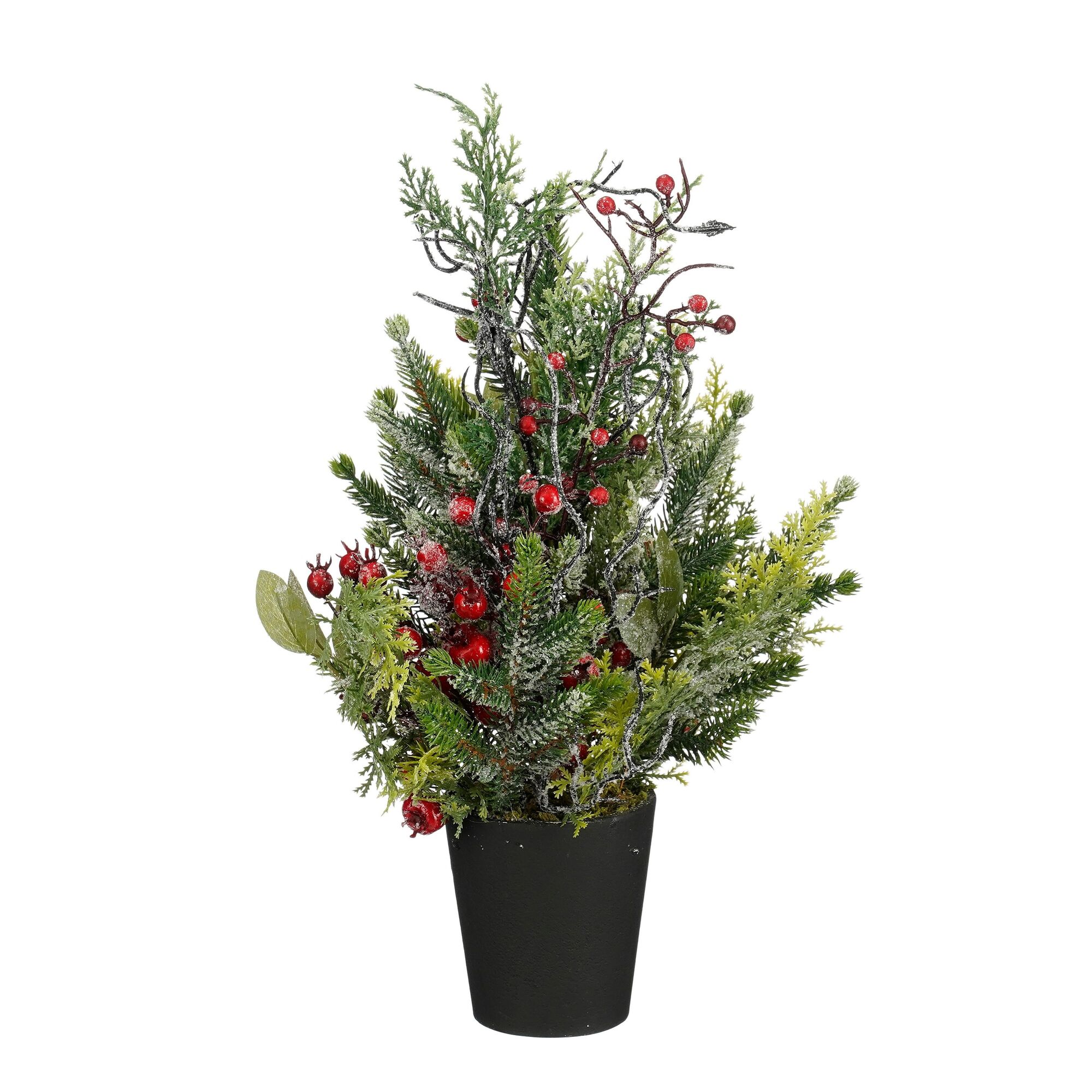 Kerstboom ceder in pot rood frosted