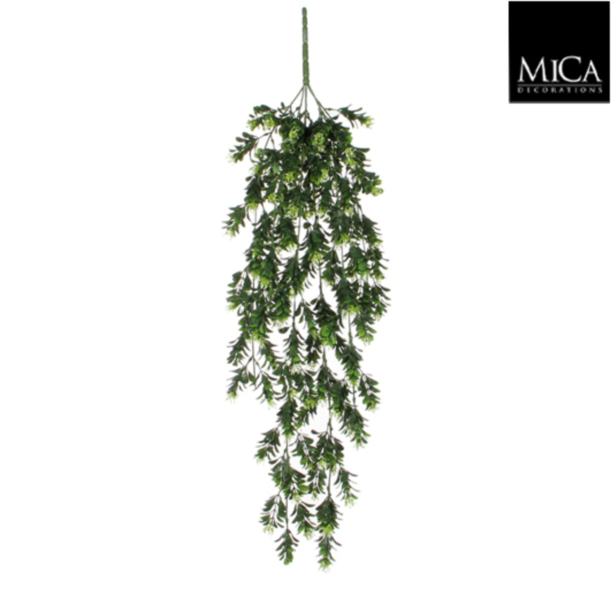 Schefflera hangend groen